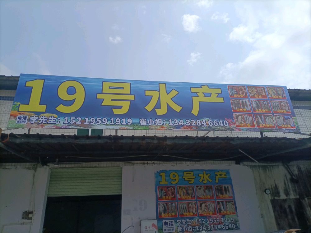 19号水产