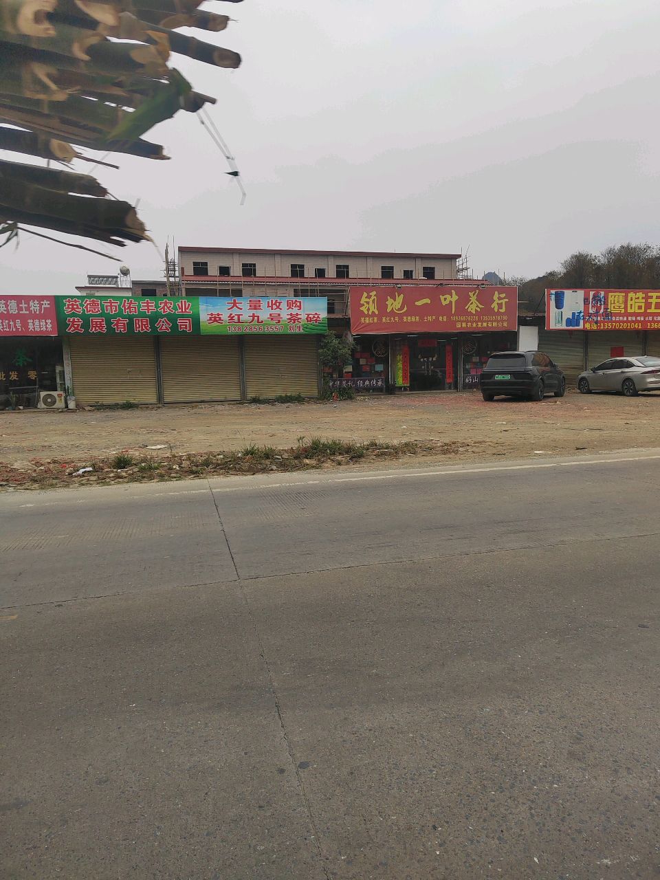 大量收购英红九号茶碎
