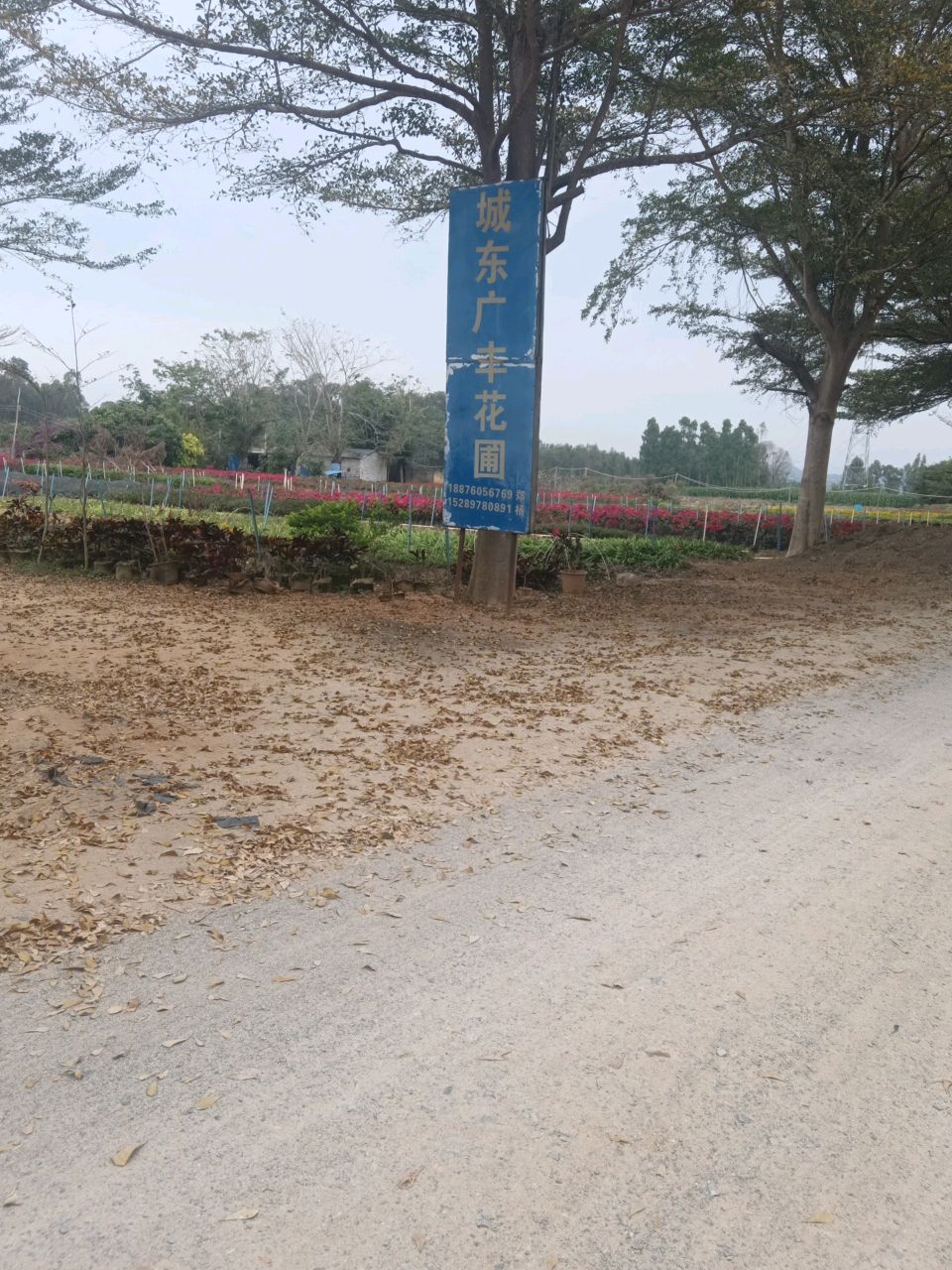 城东广丰花圃