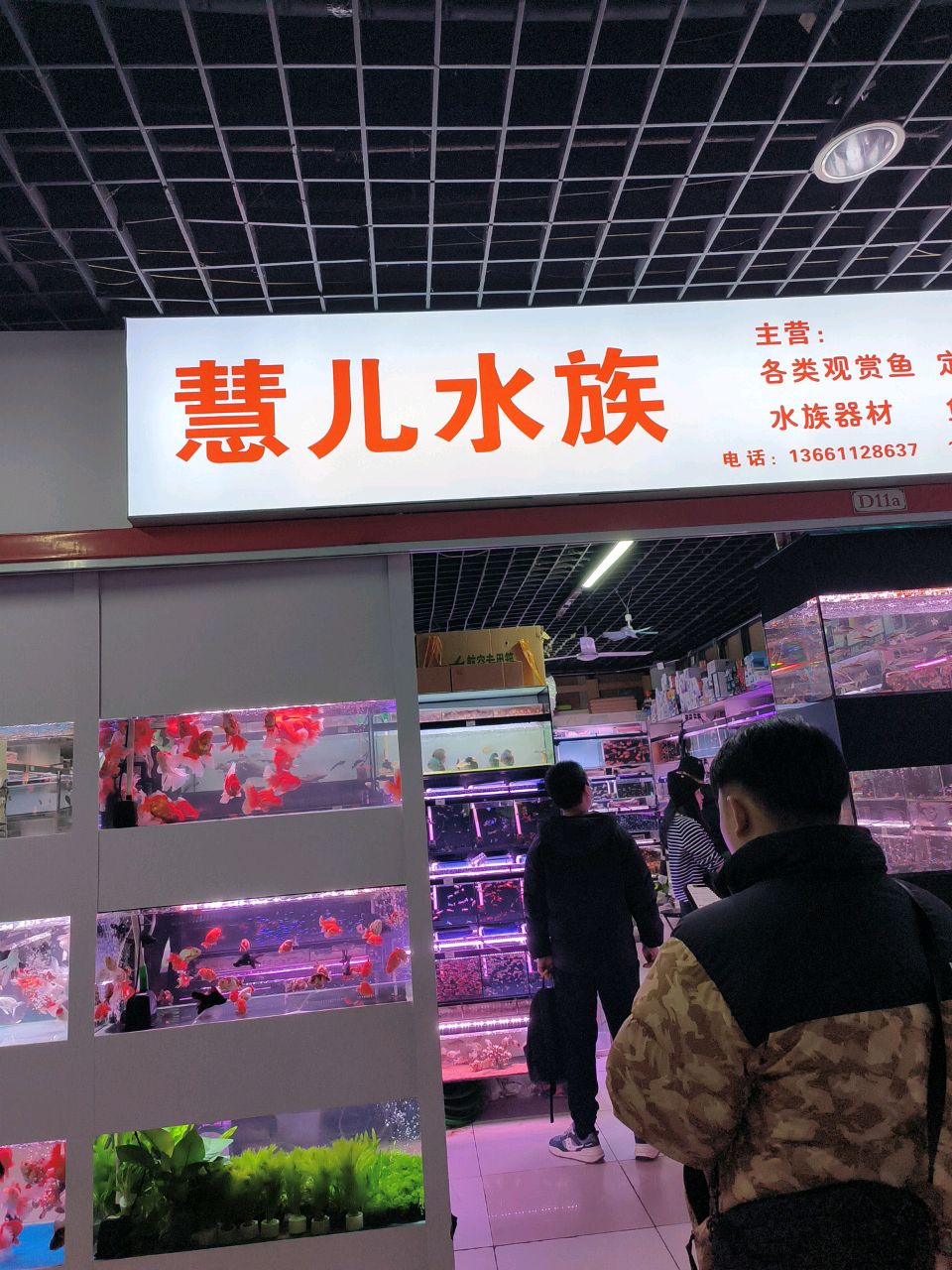 慧儿水族(十里河店)