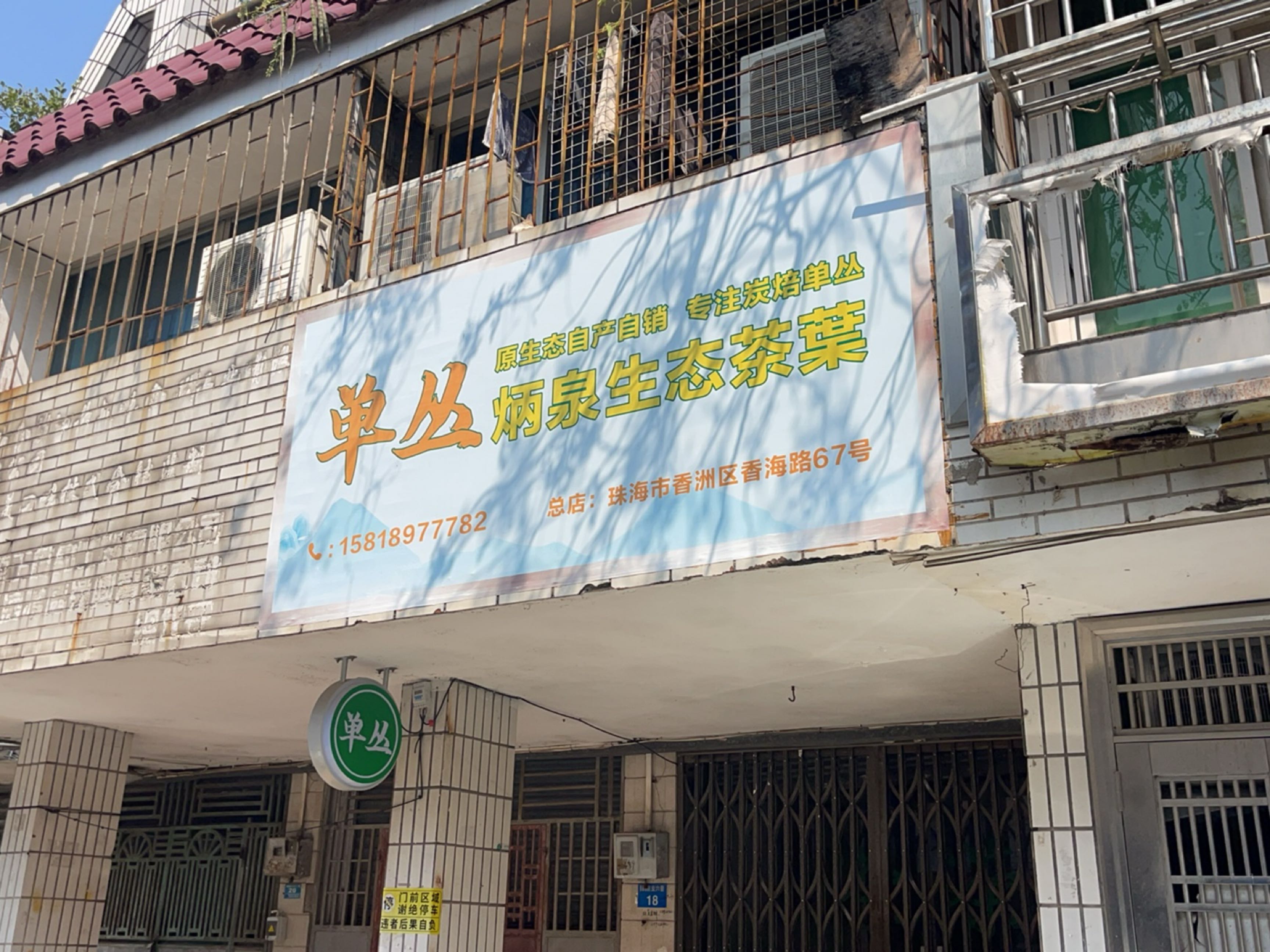 炳泉生态茶叶