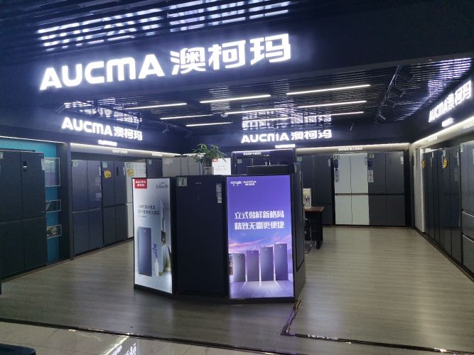 澳柯玛冰洗厨卫达洋家电会展中心(英雄北路店)