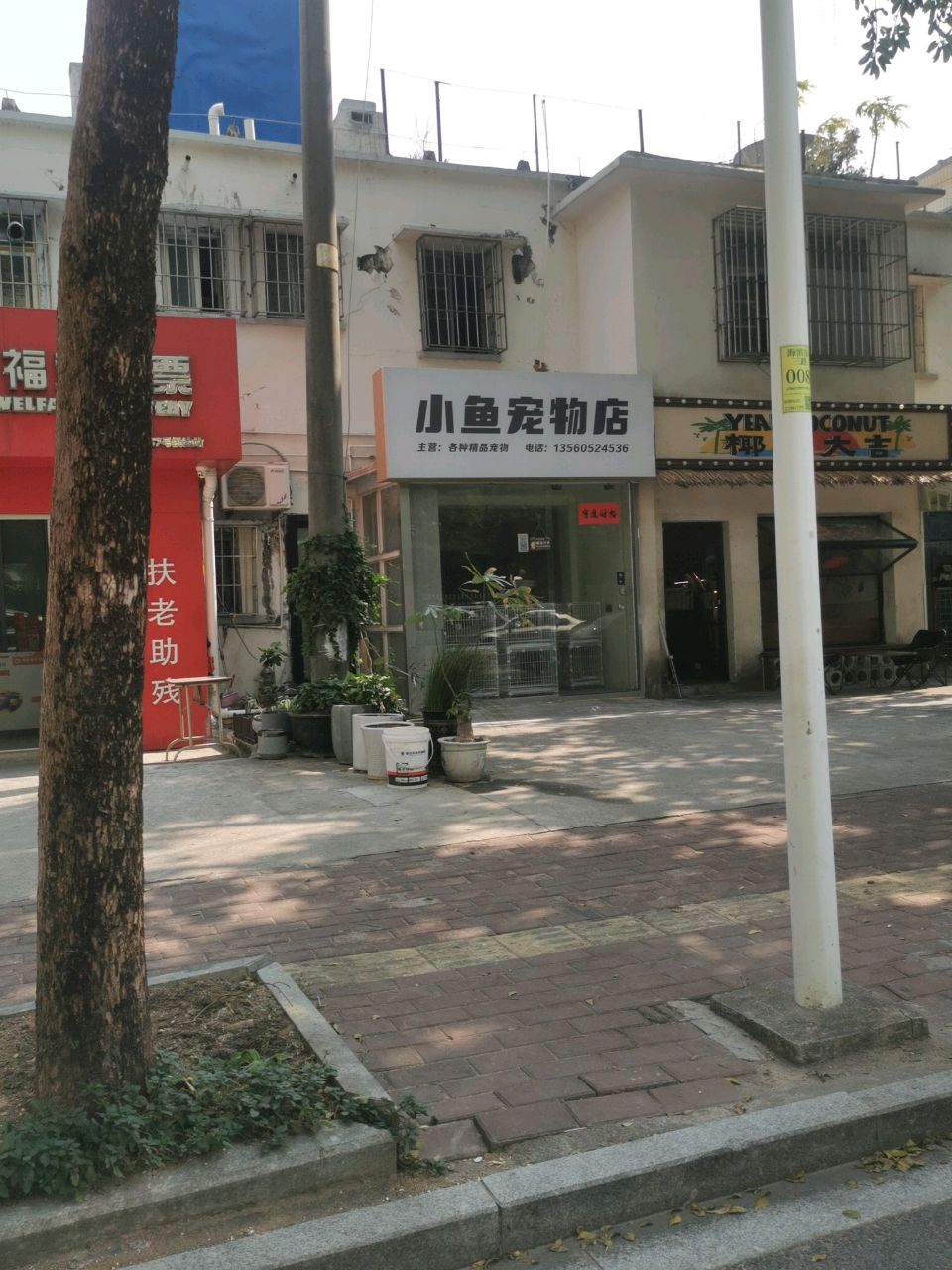 小鱼宠物店