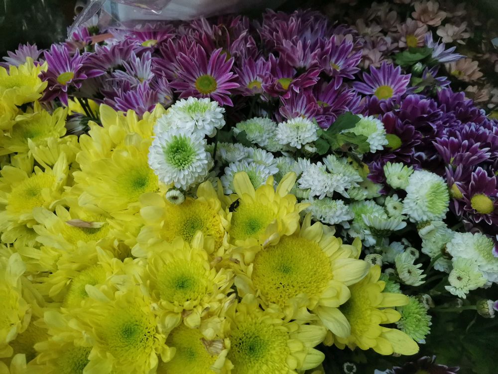 海口龙华伊一花坊