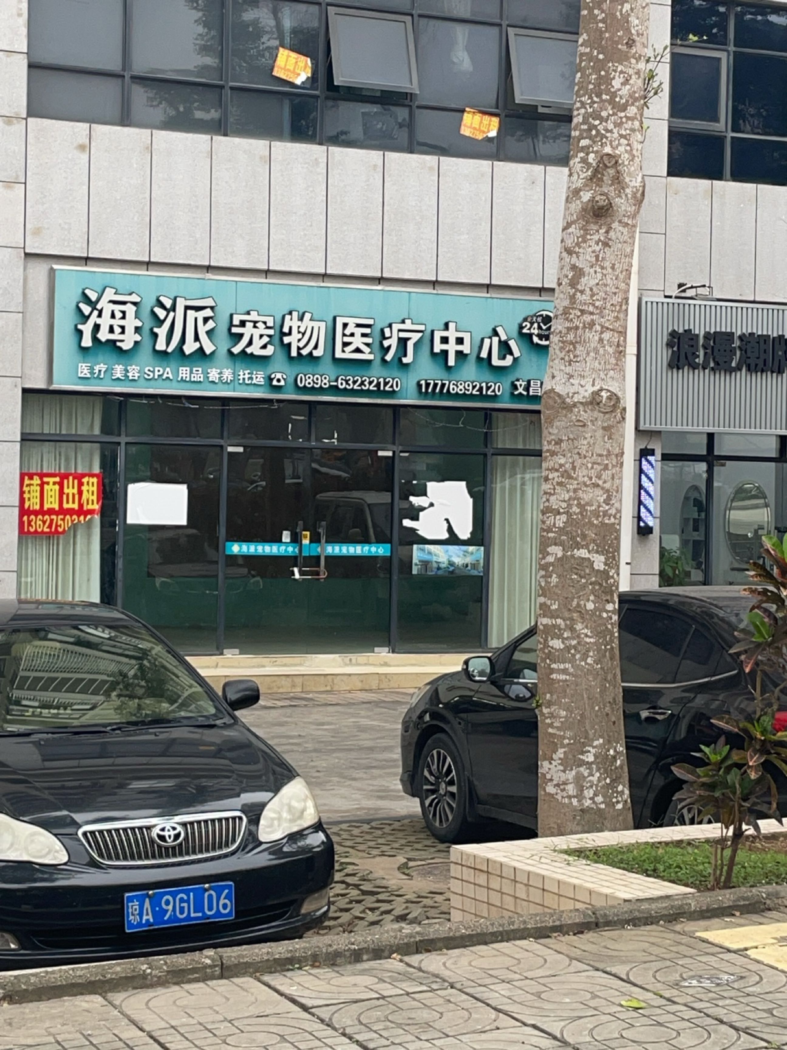 海派宠物医疗中心(文昌店)