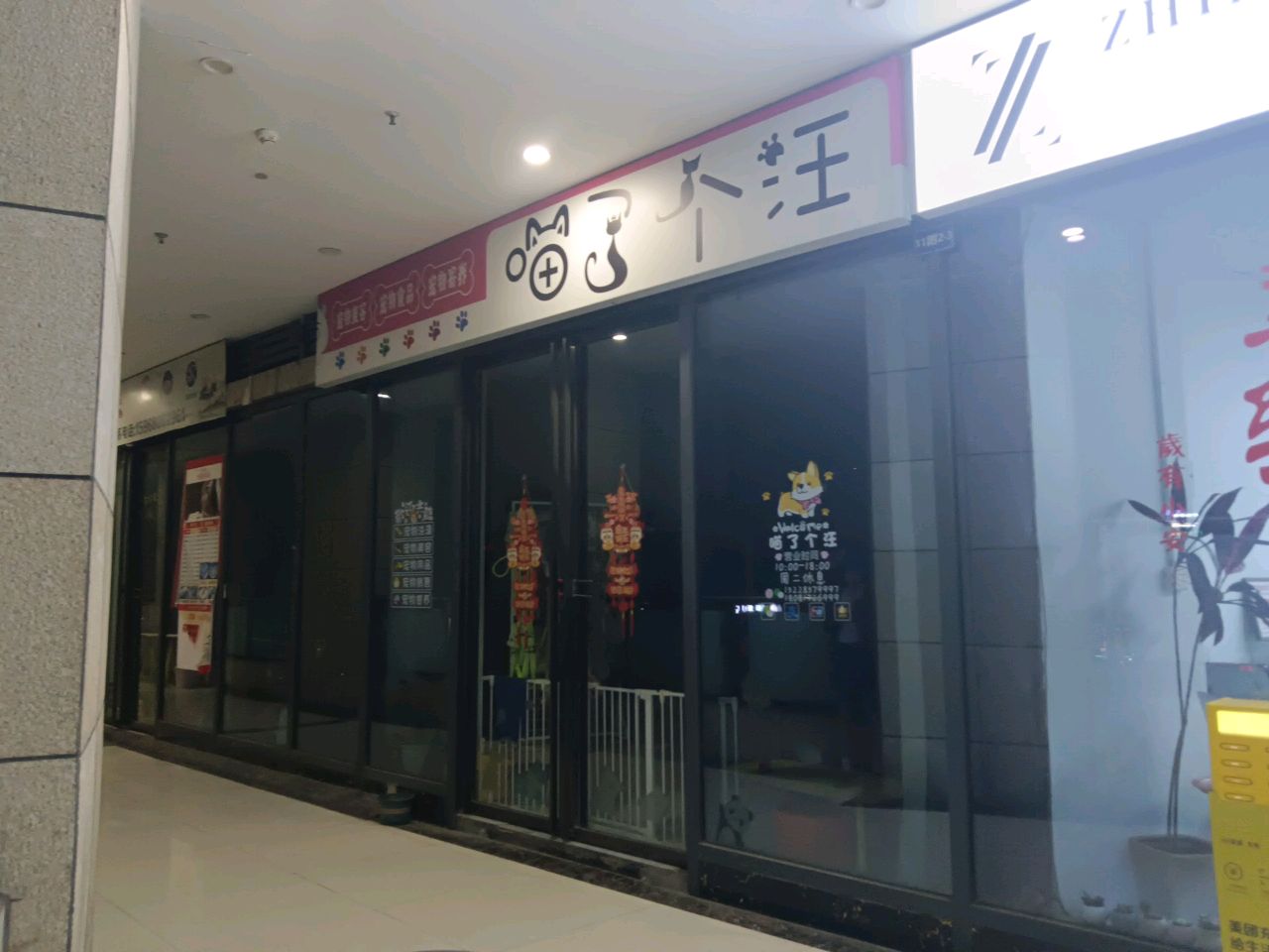 喵了个汪(星瑞时代广场店)