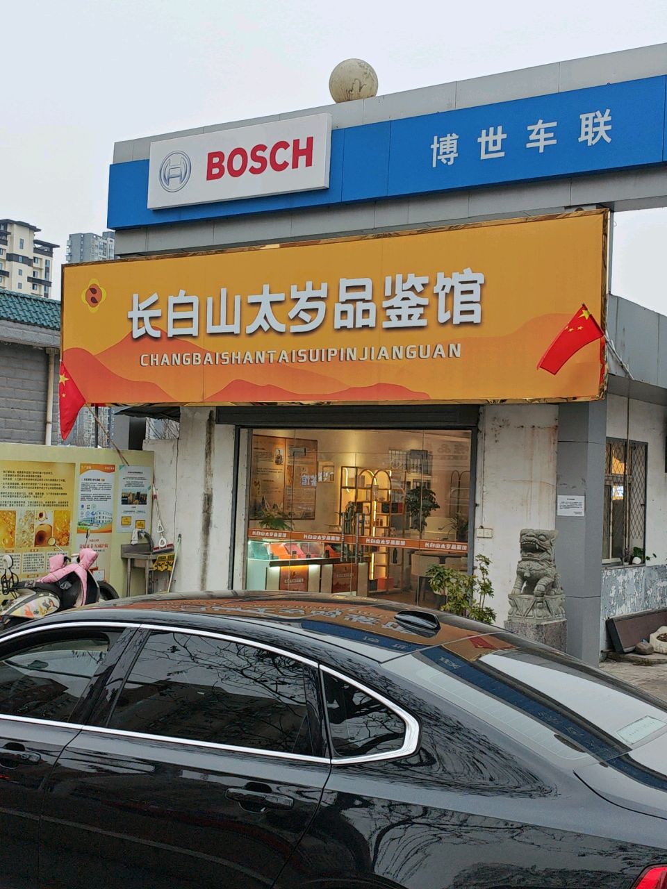 长白山太岁品鉴馆(益州路店)