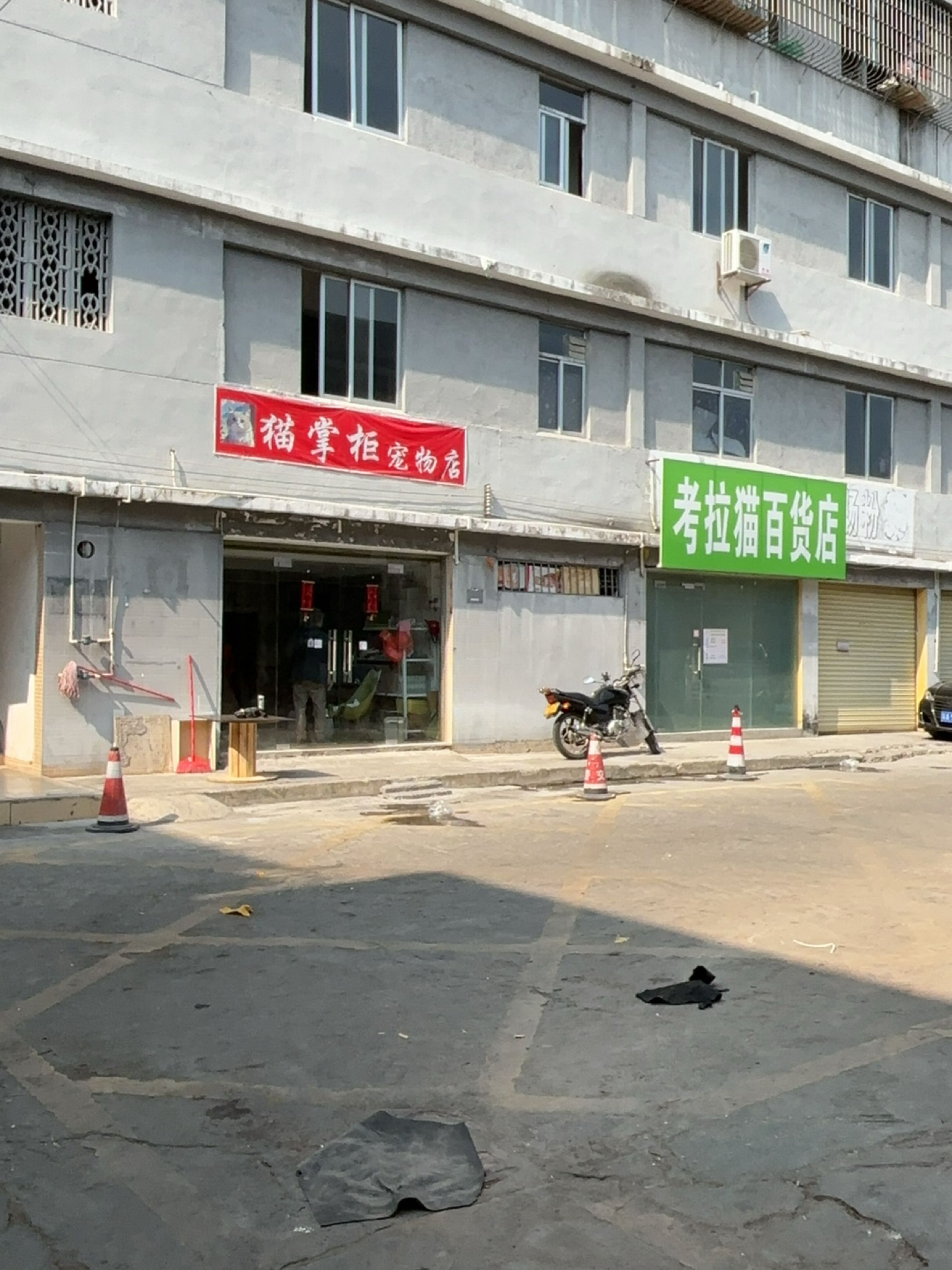 猫掌柜宠物店