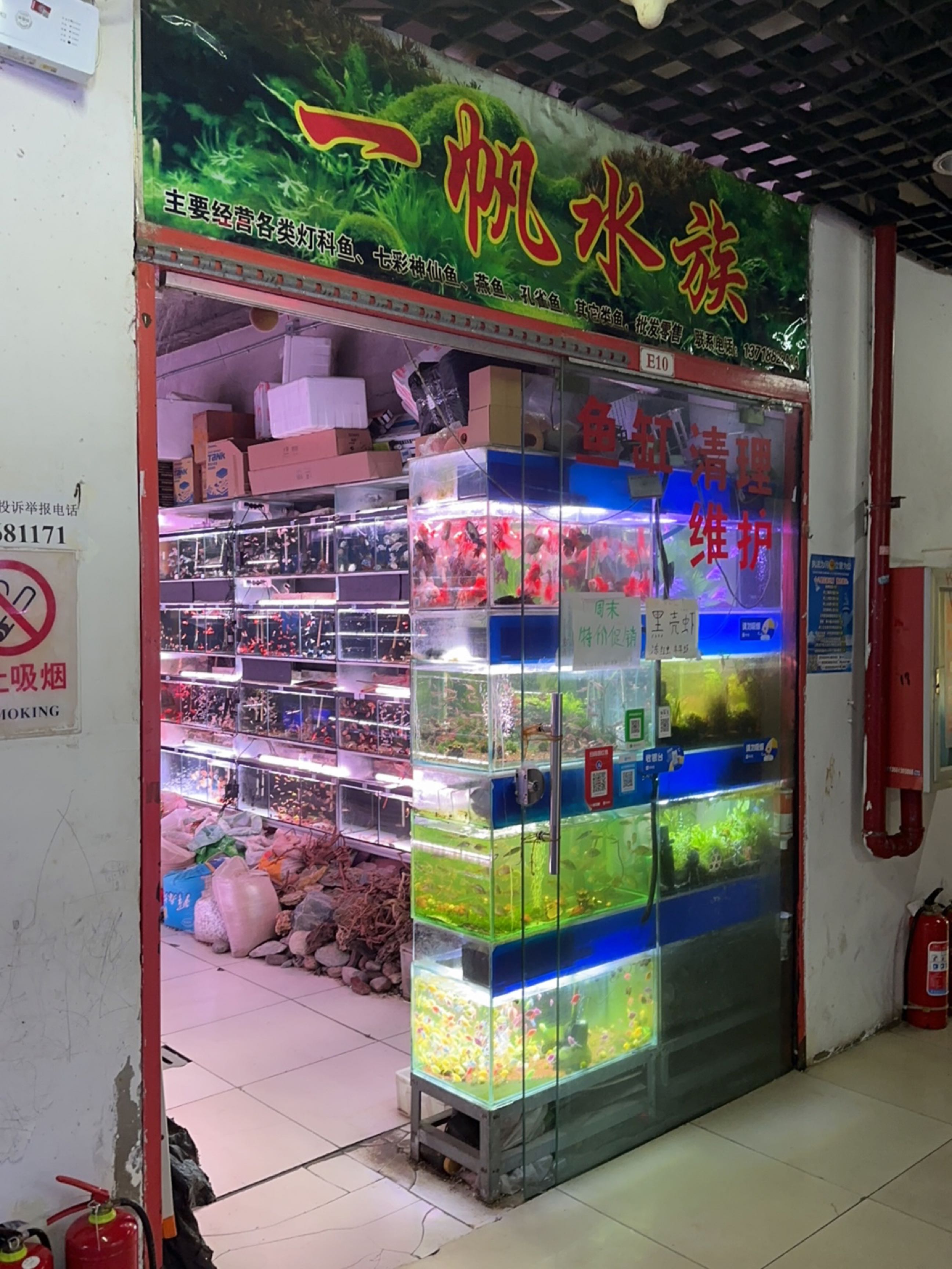 一帆水族(雅园国际B座店)