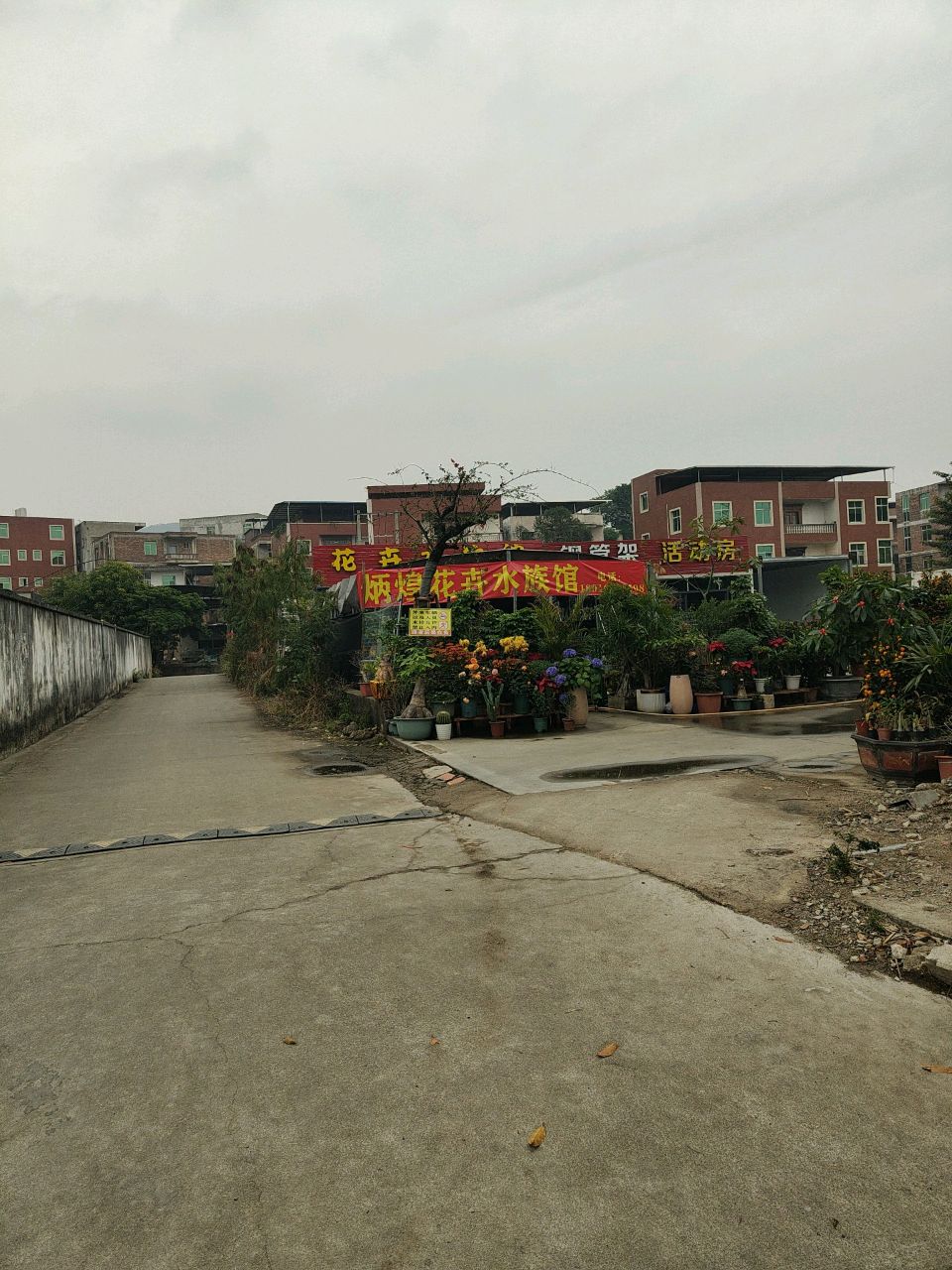 炳煌花卉水族馆