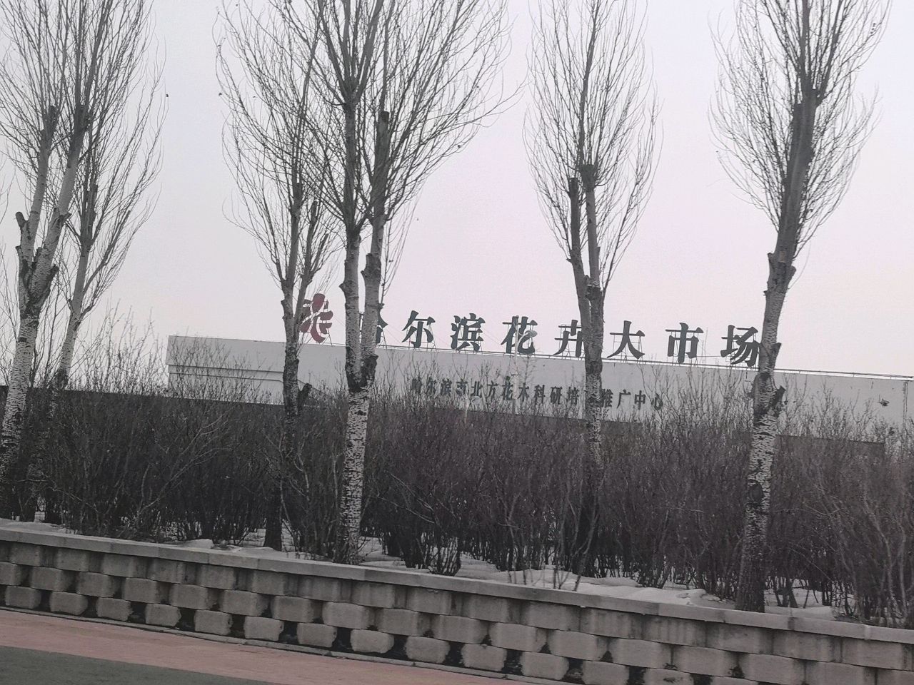 哈尔滨花卉大市场2号厅