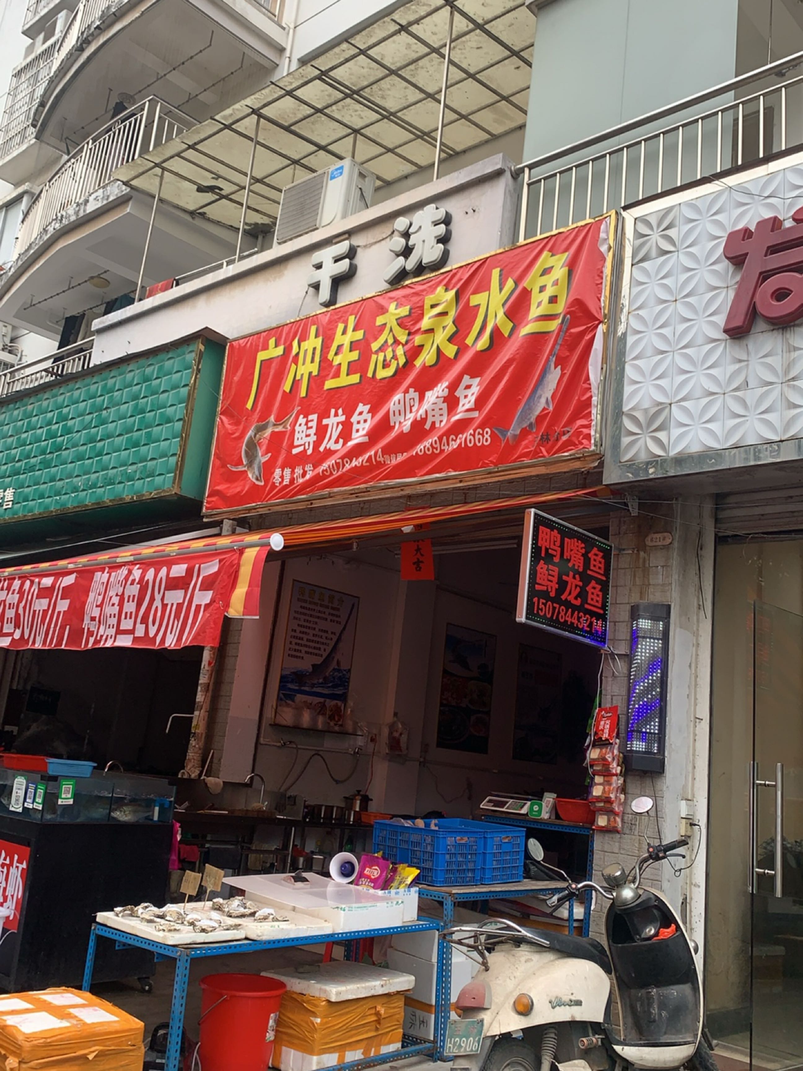 广冲生态泉水鱼