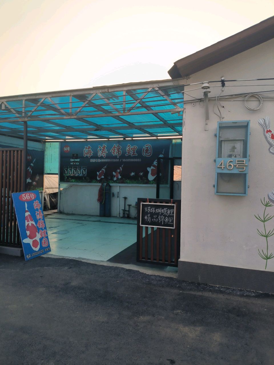 海涛锦鲤园