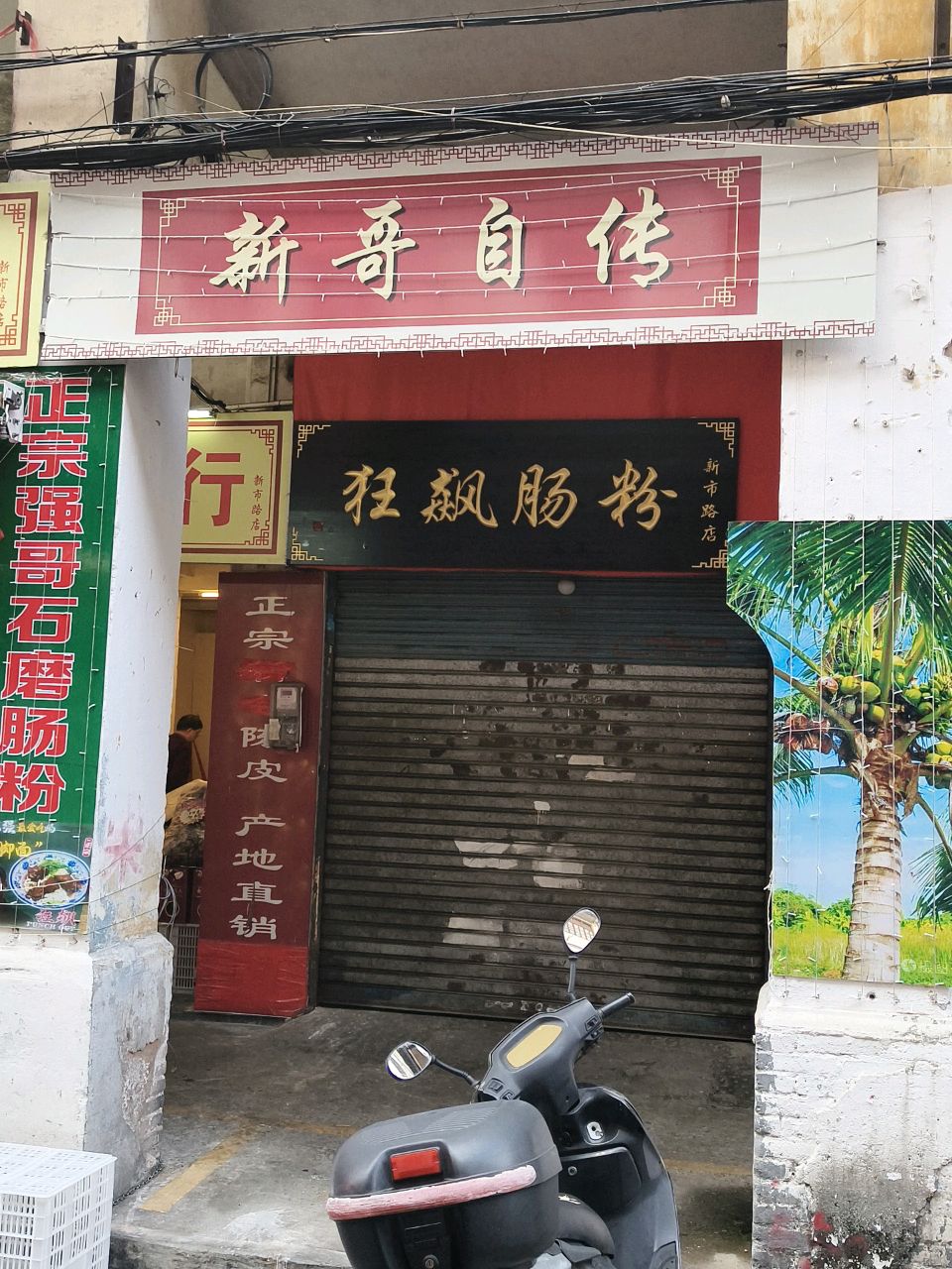 新哥自传