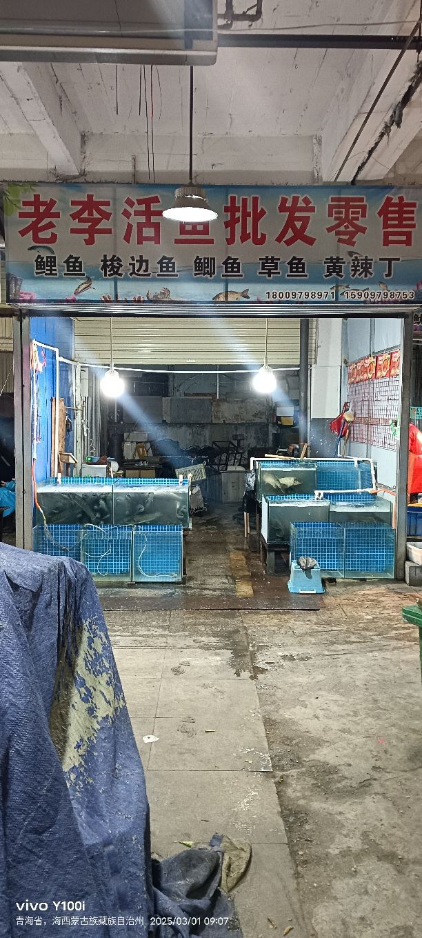 老李活鱼批发零售
