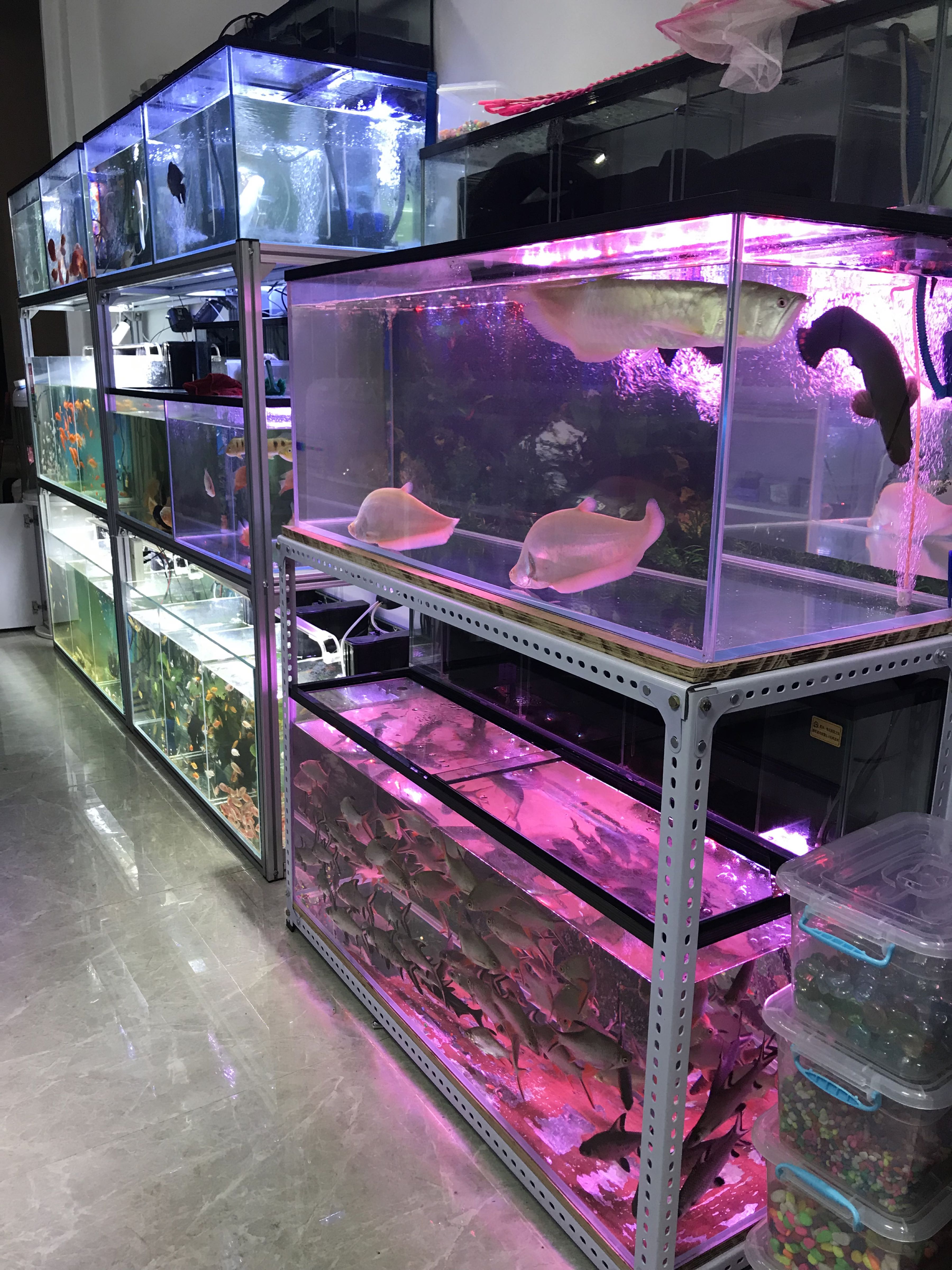 四海渔具水族(七坊店)