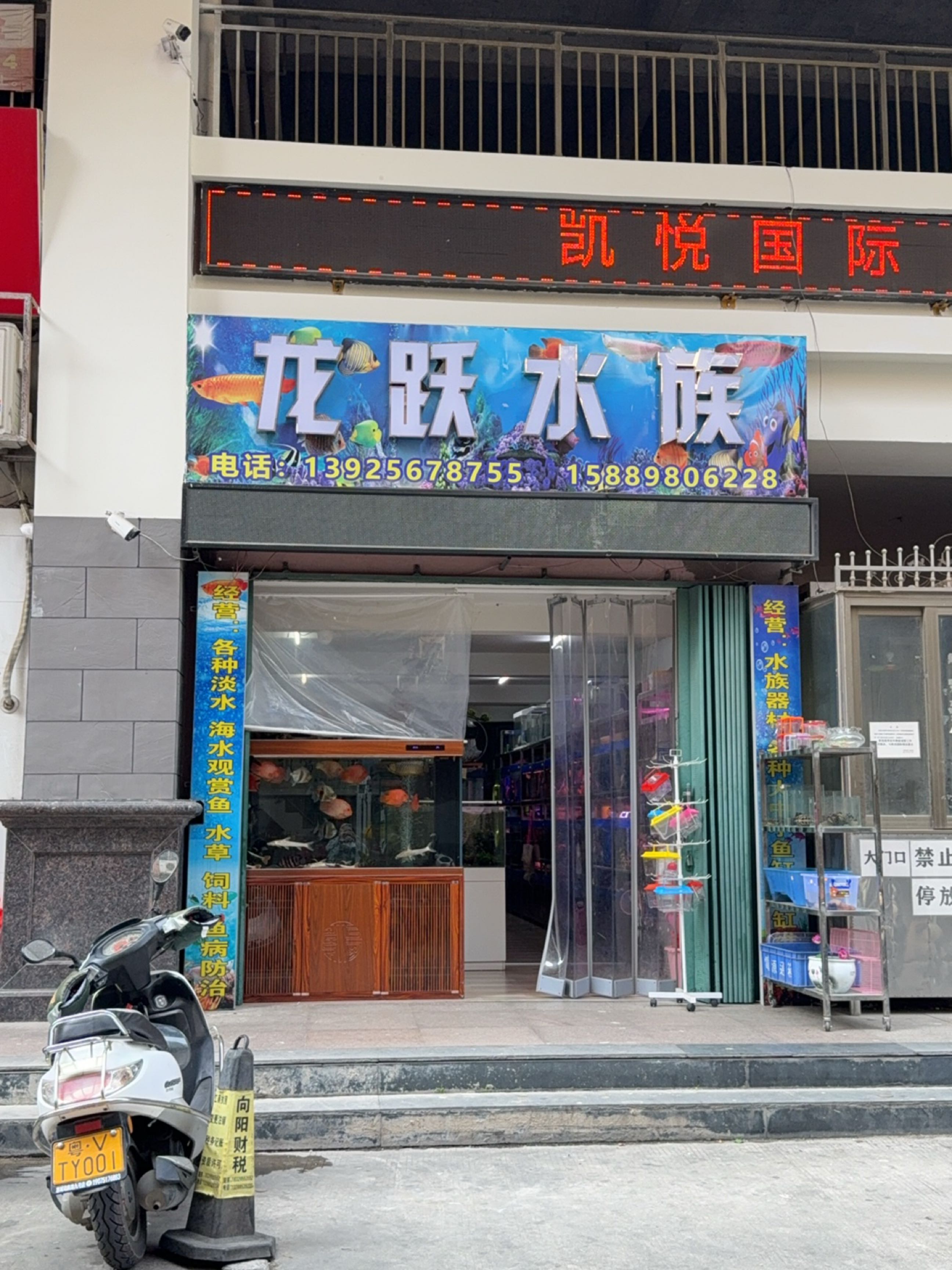 龙跃水族(华强广场店)