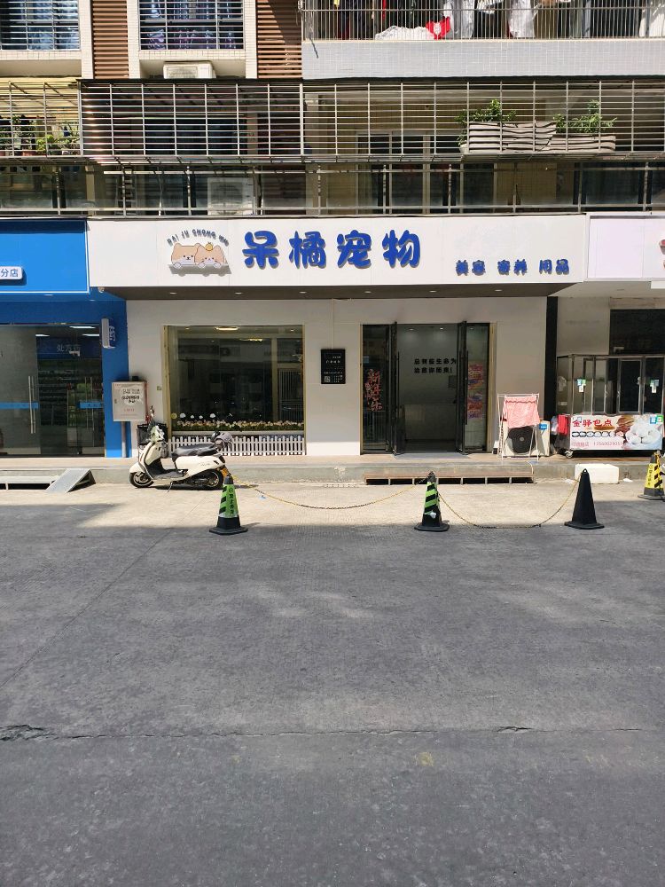 呆橘宠物(鸿泰华府店)