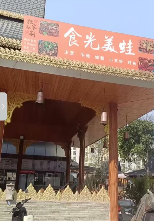 食光美蛙