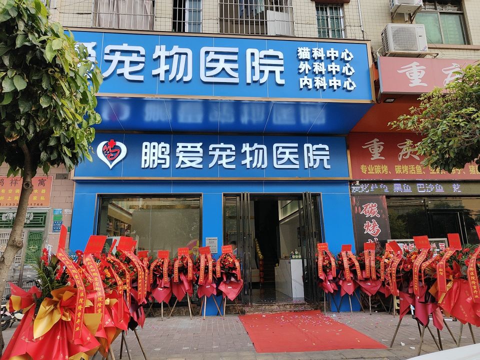 东莞市大朗鹏爱宠物医院