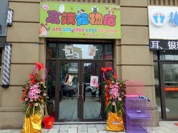 合肥高端宠物店