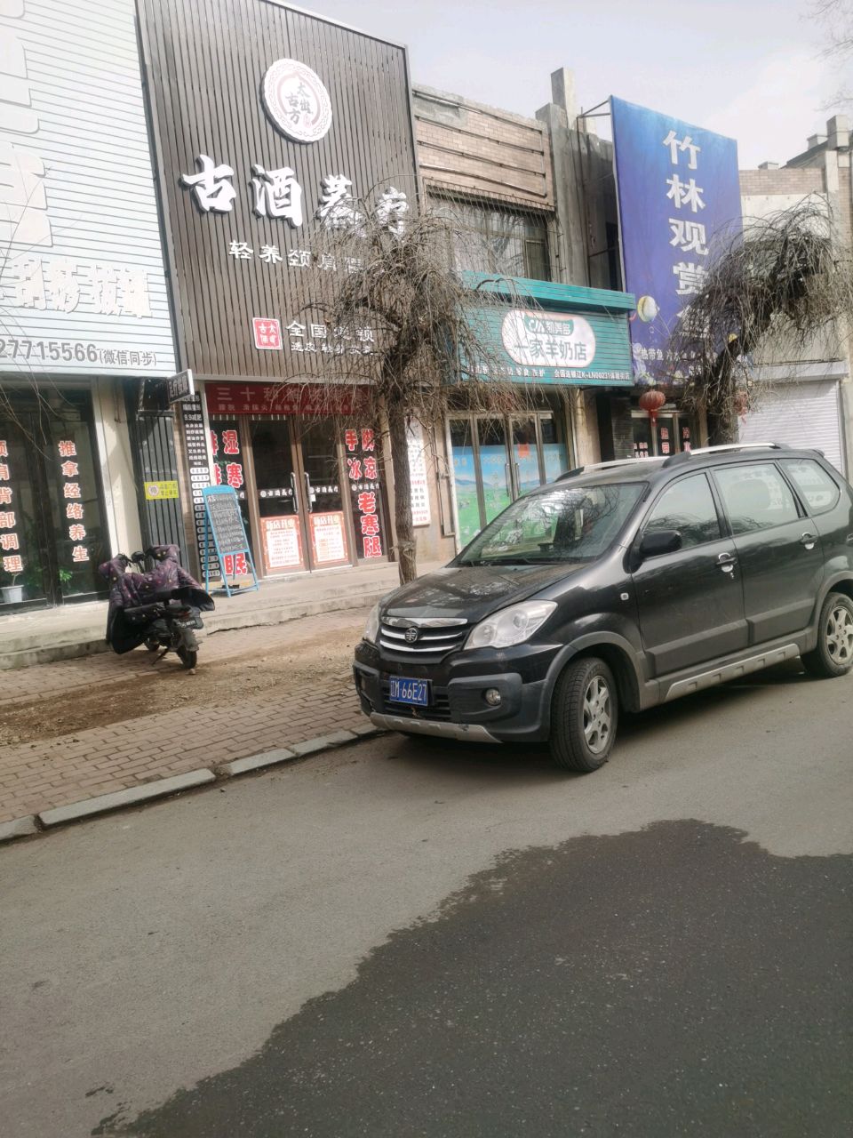 竹林观赏鱼