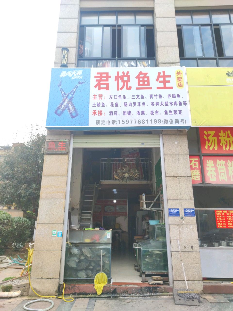 君悦鱼生
