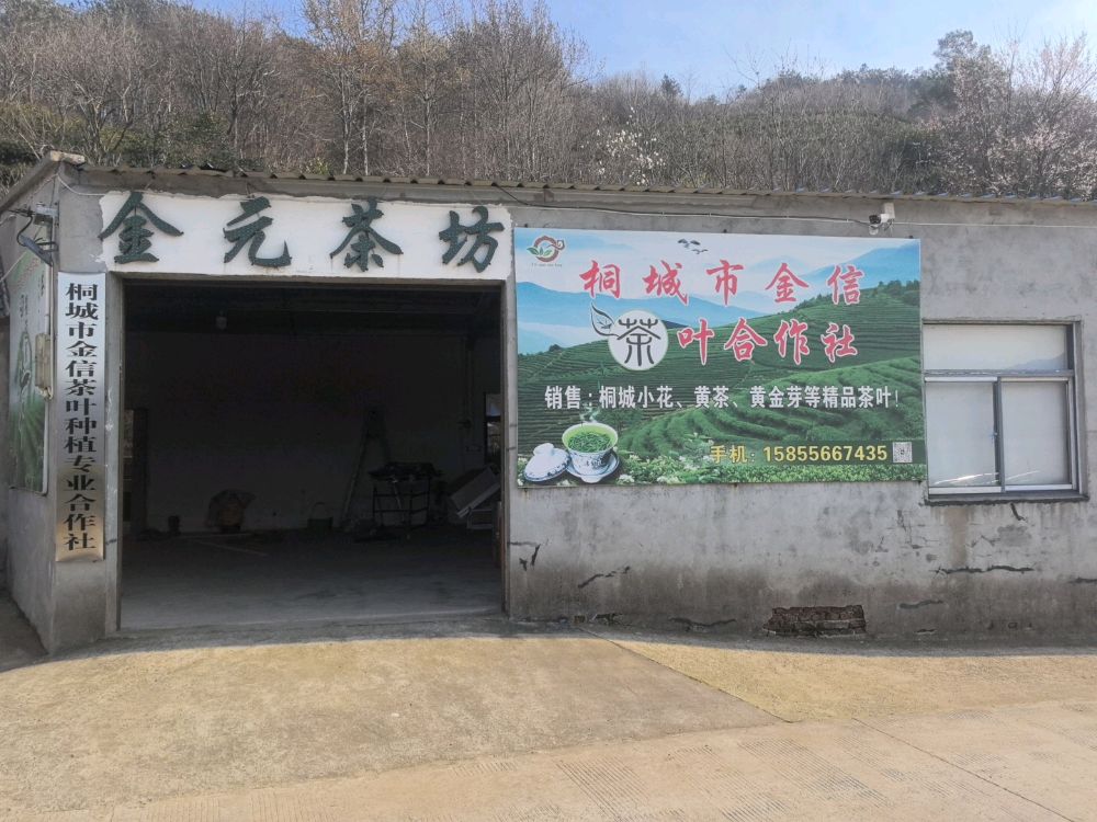 桐城市金信茶叶种植专业合作社