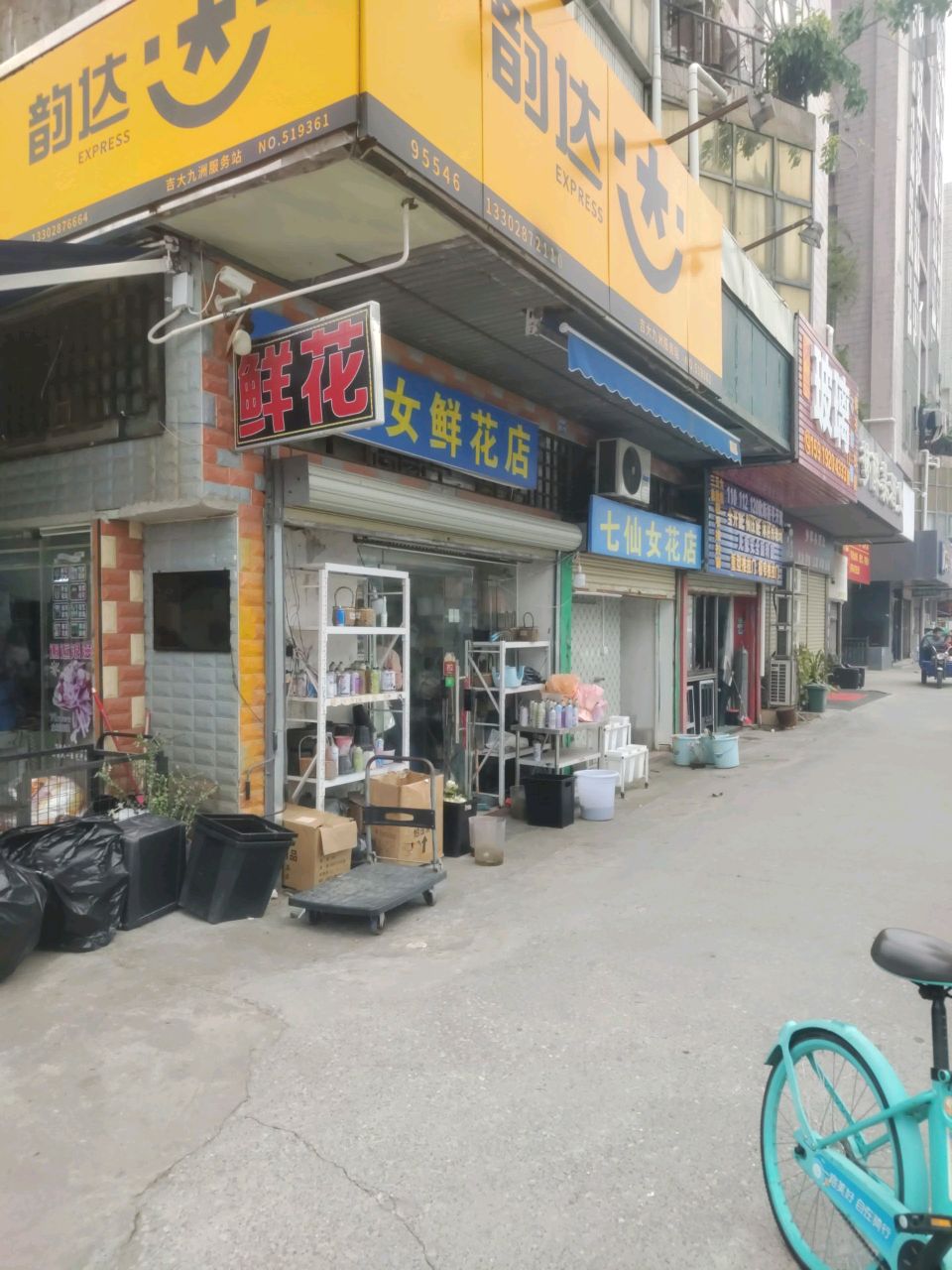 七仙女鲜花