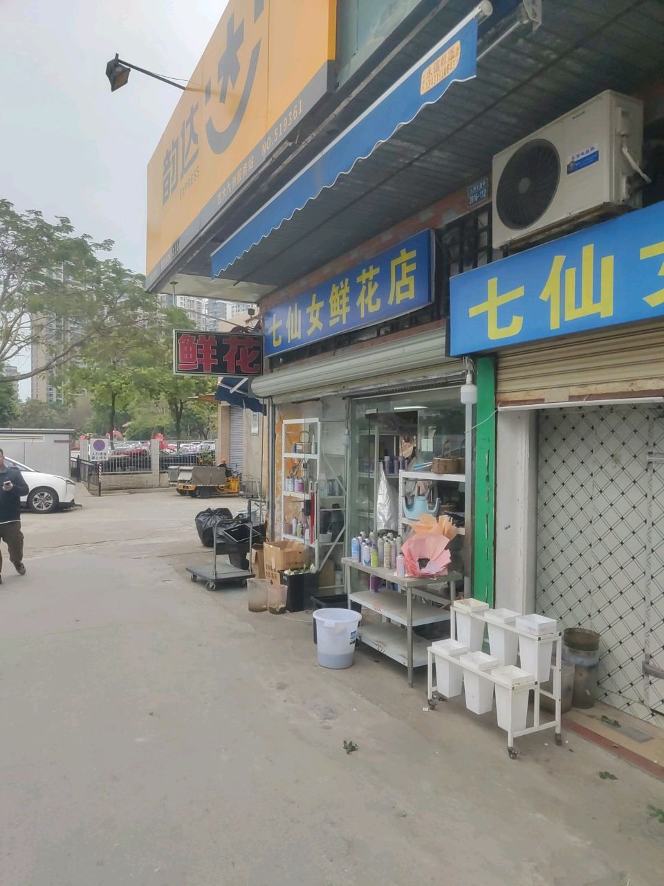 七仙女鲜花