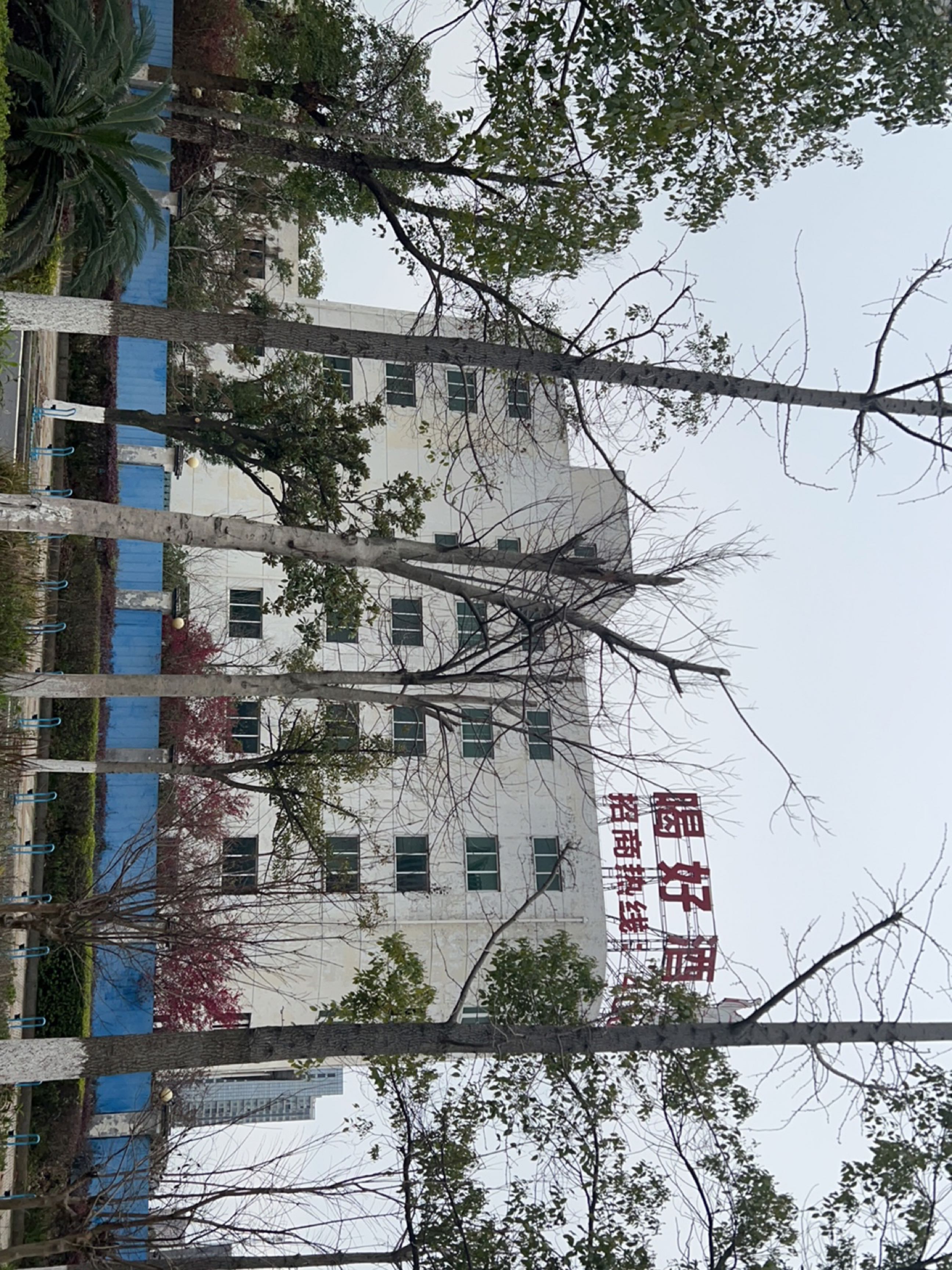 喝好酒问李白