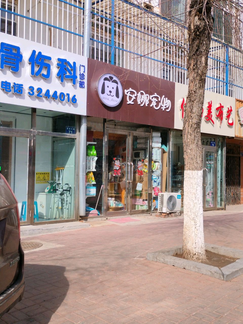 安娜宠物