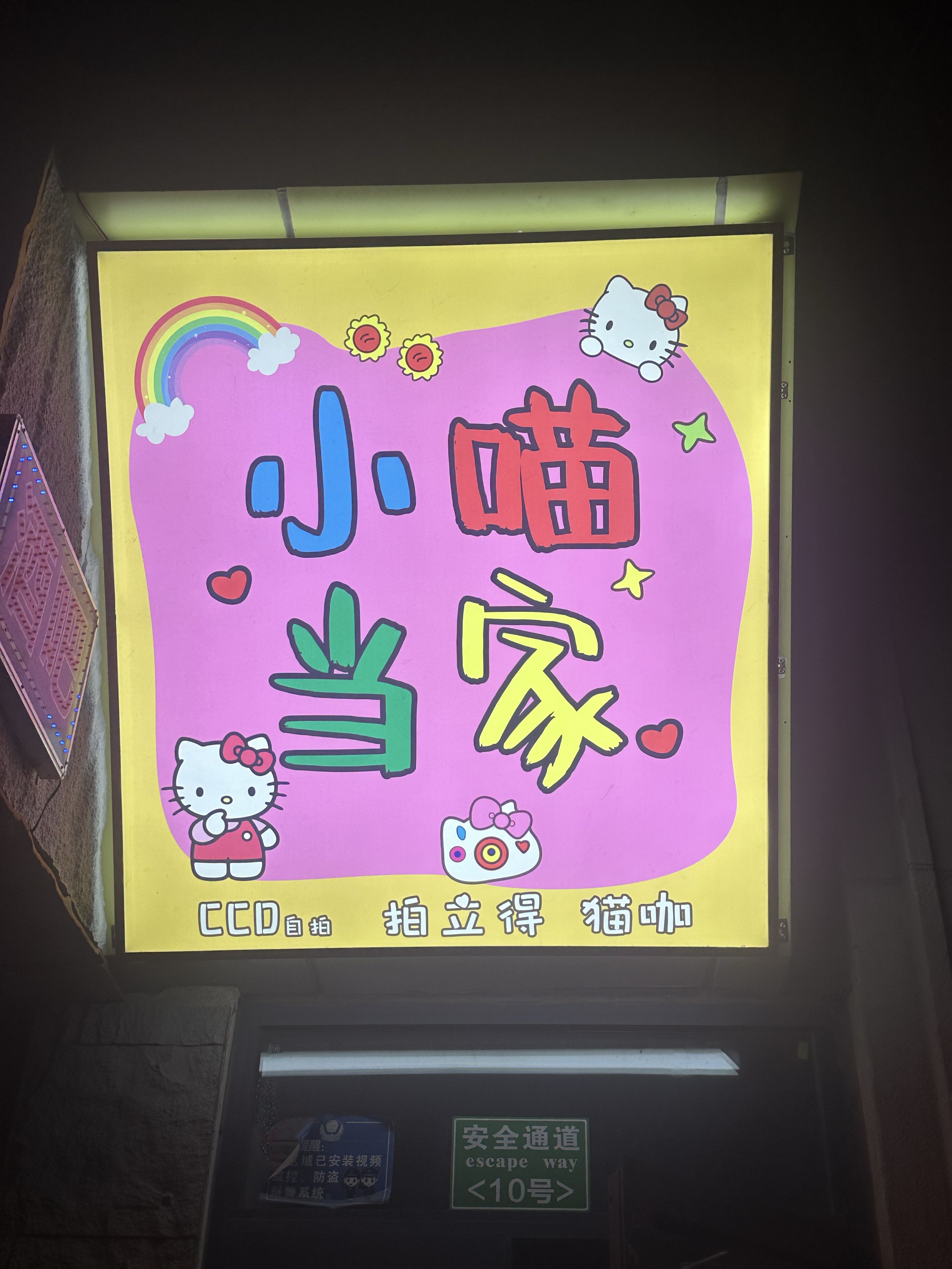 小喵当家