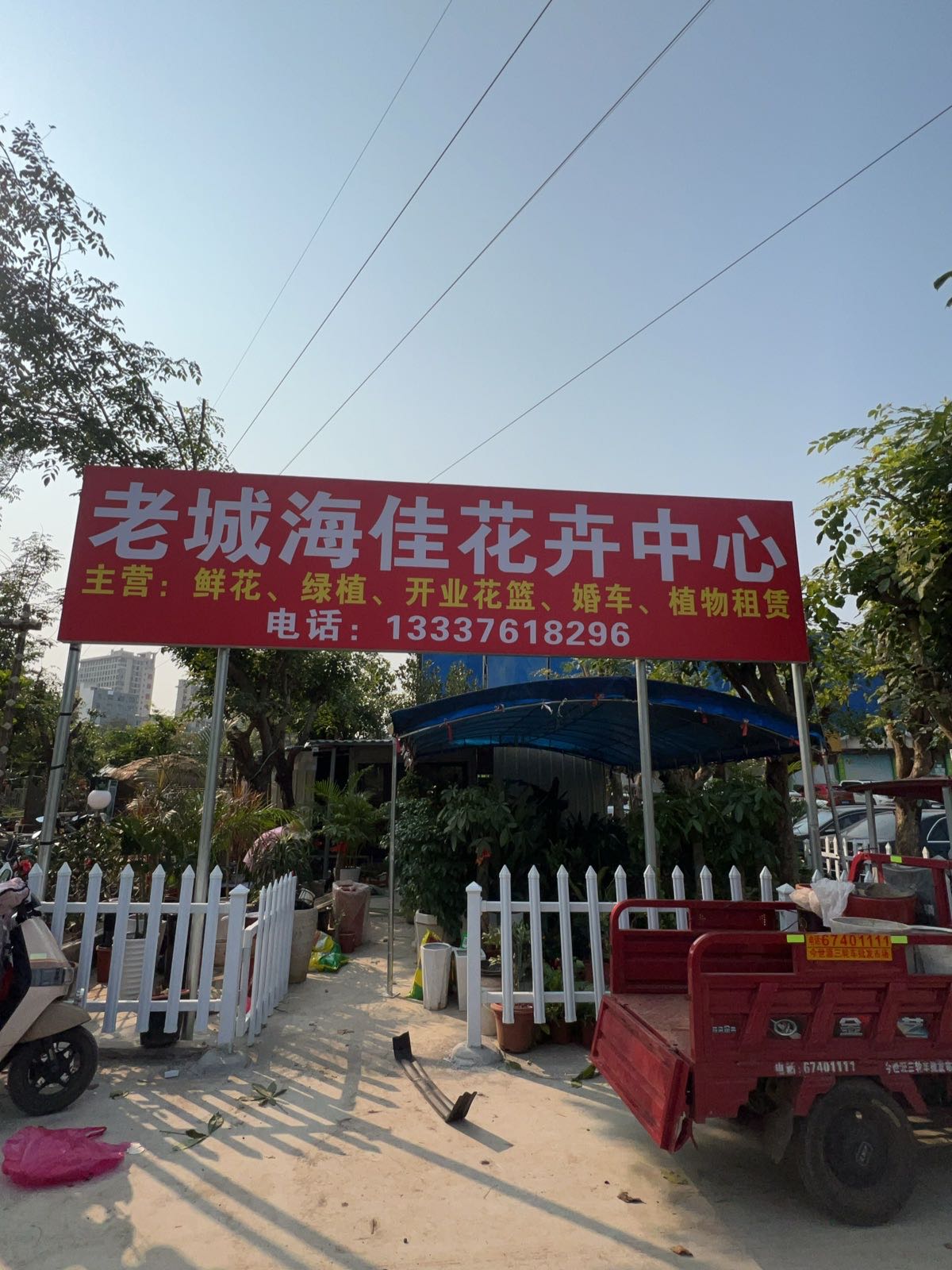 老城海佳花卉中心