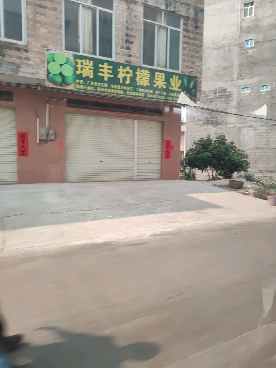 瑞丰柠檬果业
