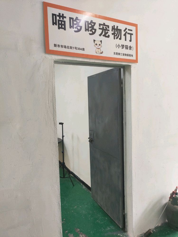 东莞市黄江喵哆哆宠物行