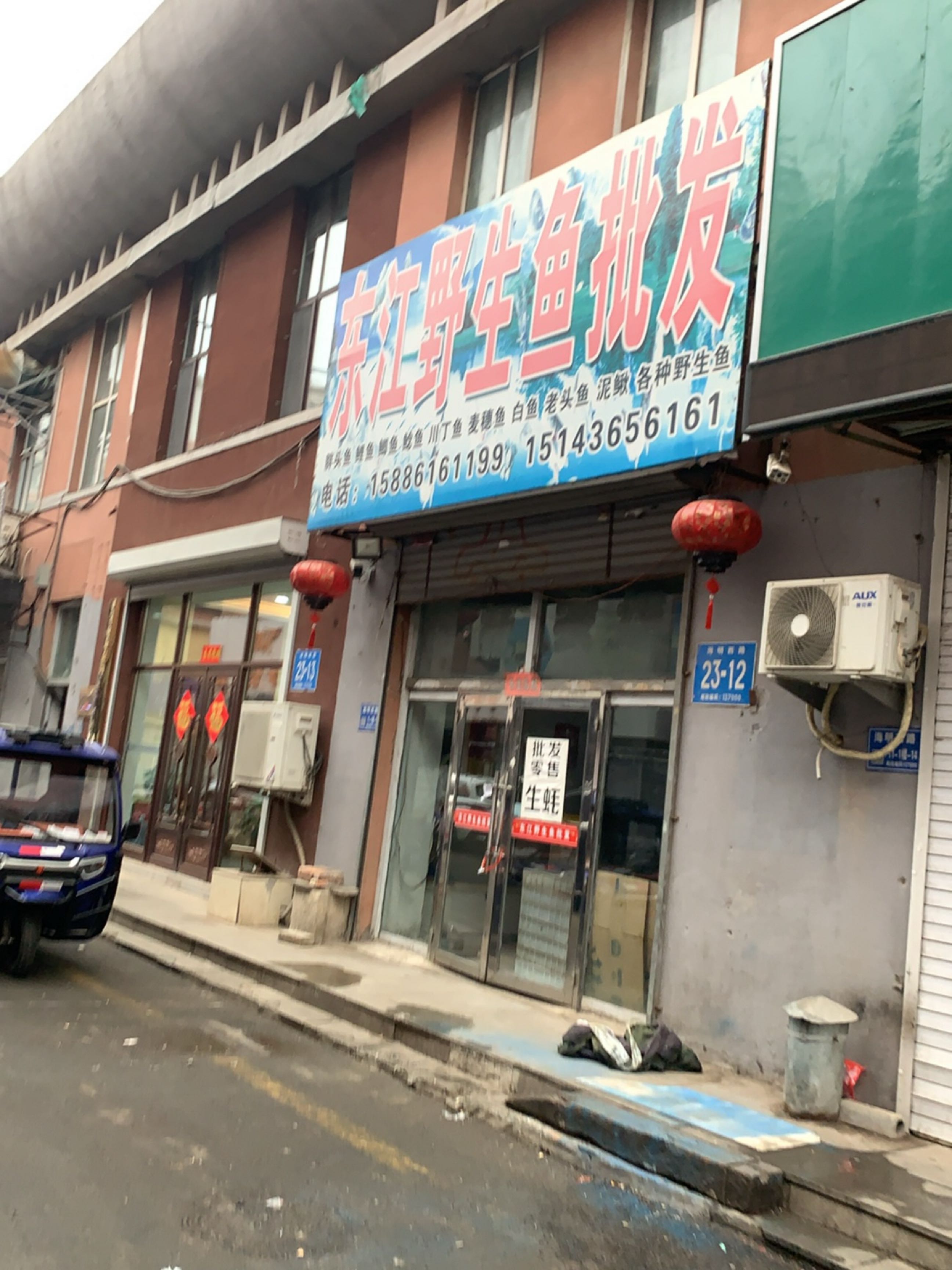东江野生鱼批发