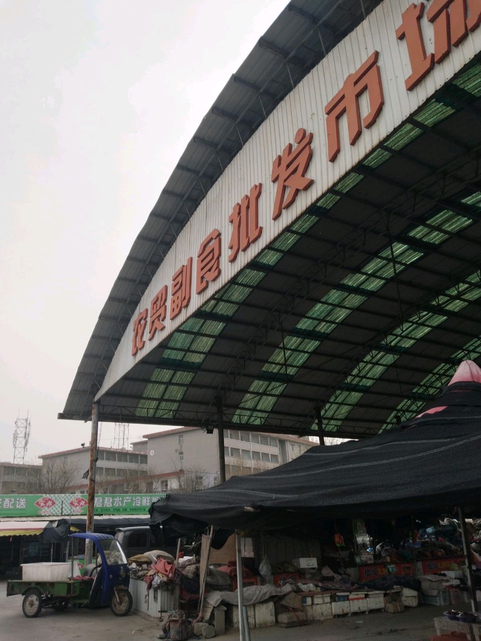君君水产冷鲜批发