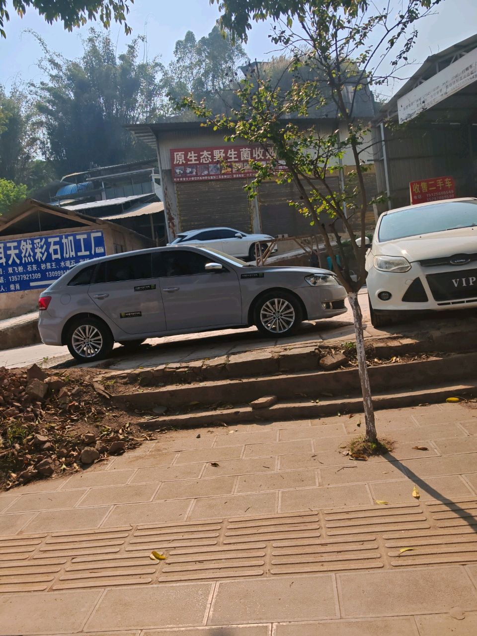 原生态野生菌收购部(宁洱店)