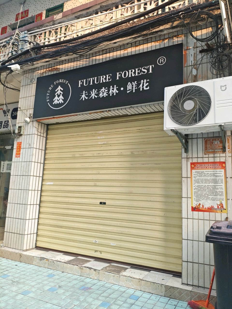 未来森林·鲜花