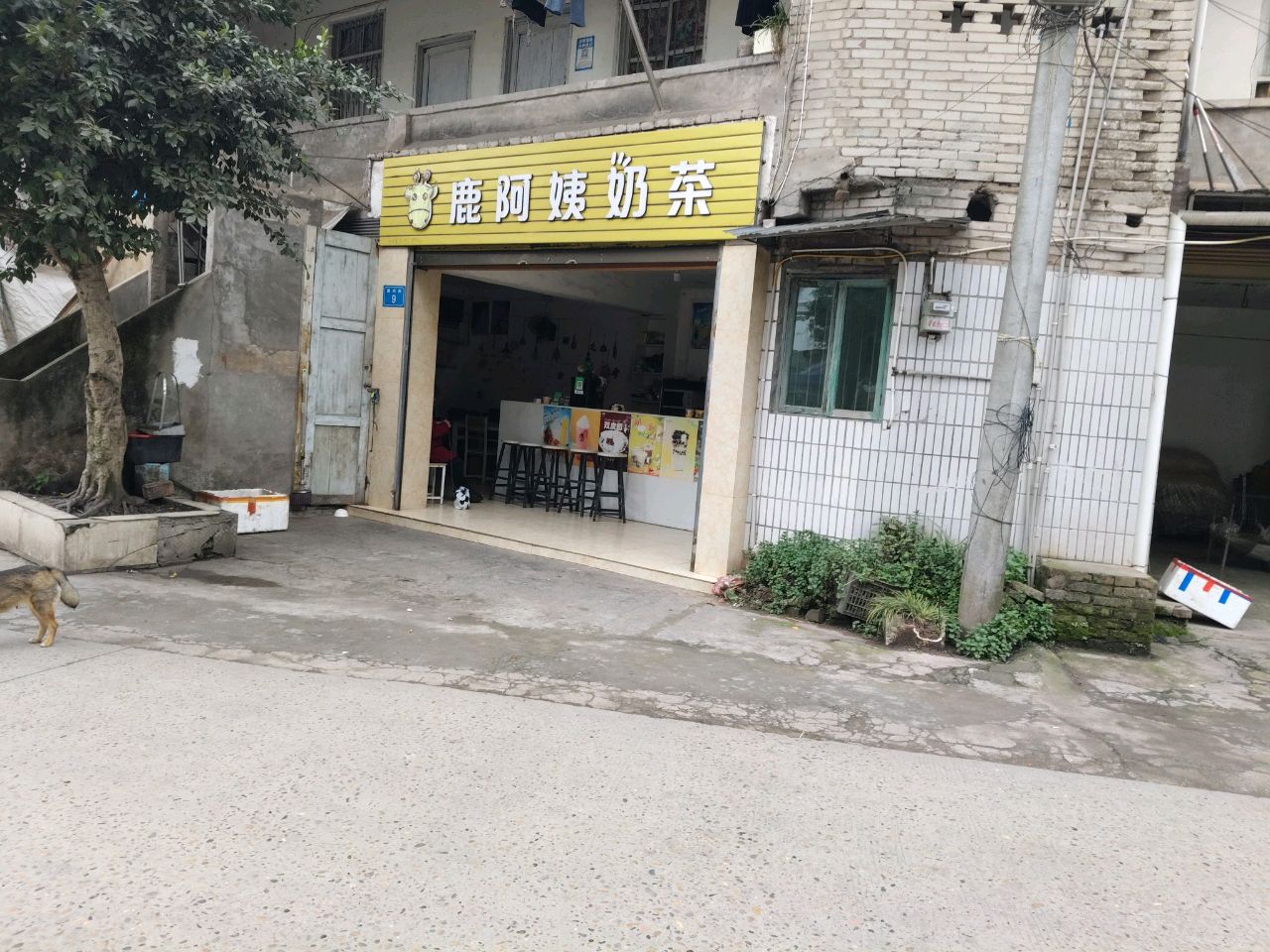 鹿阿姨奶茶