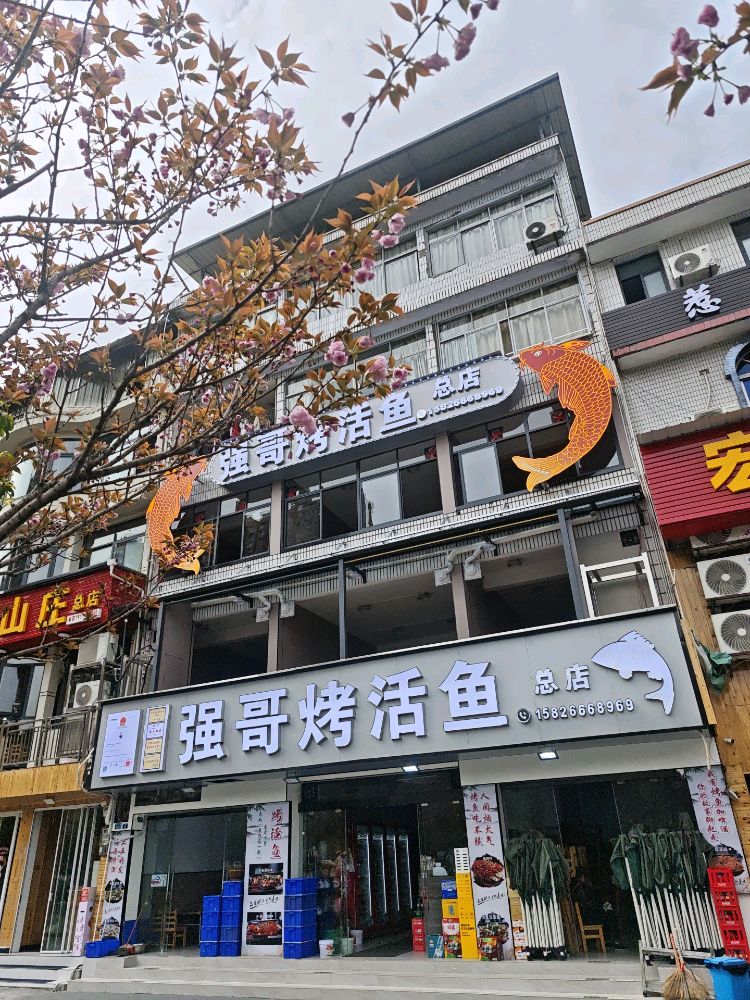 强哥烤活鱼总店