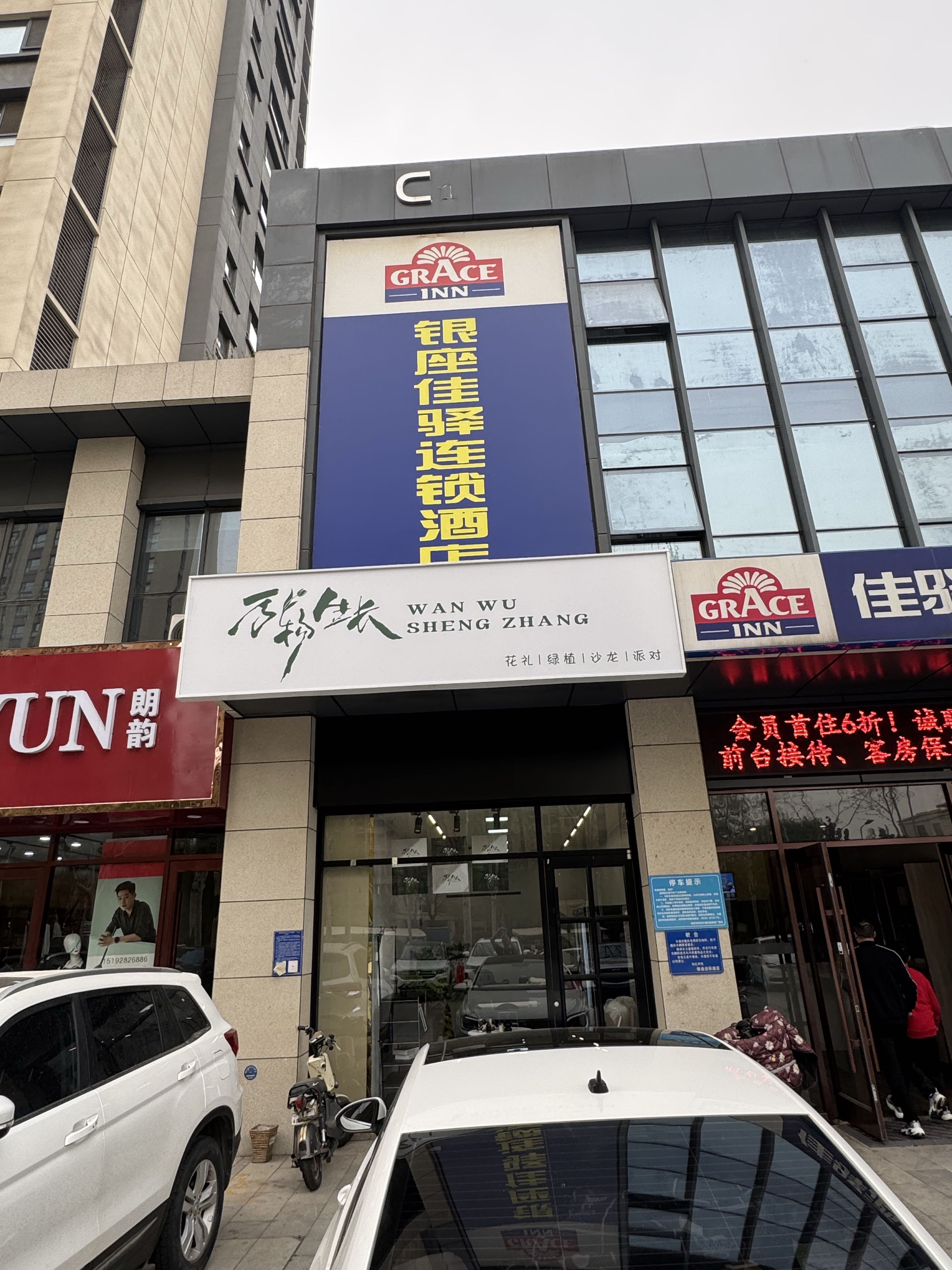 万物生长