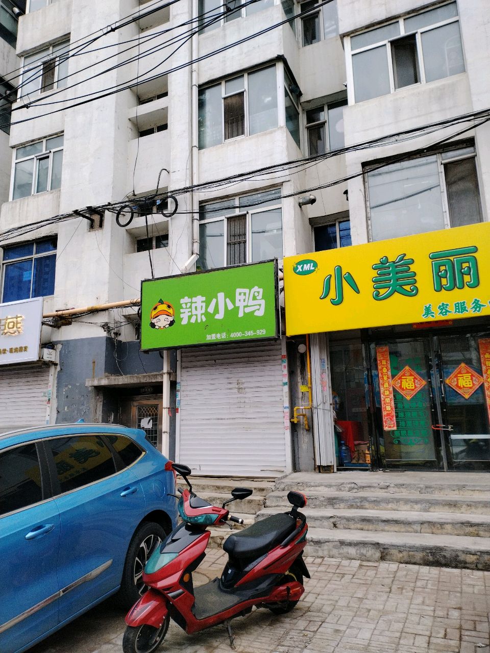 暖燕(鑫鼎世家店)