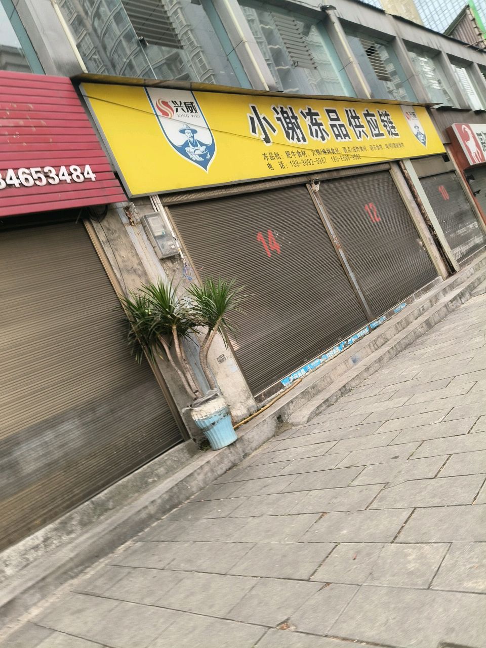 小谢冻品供应链