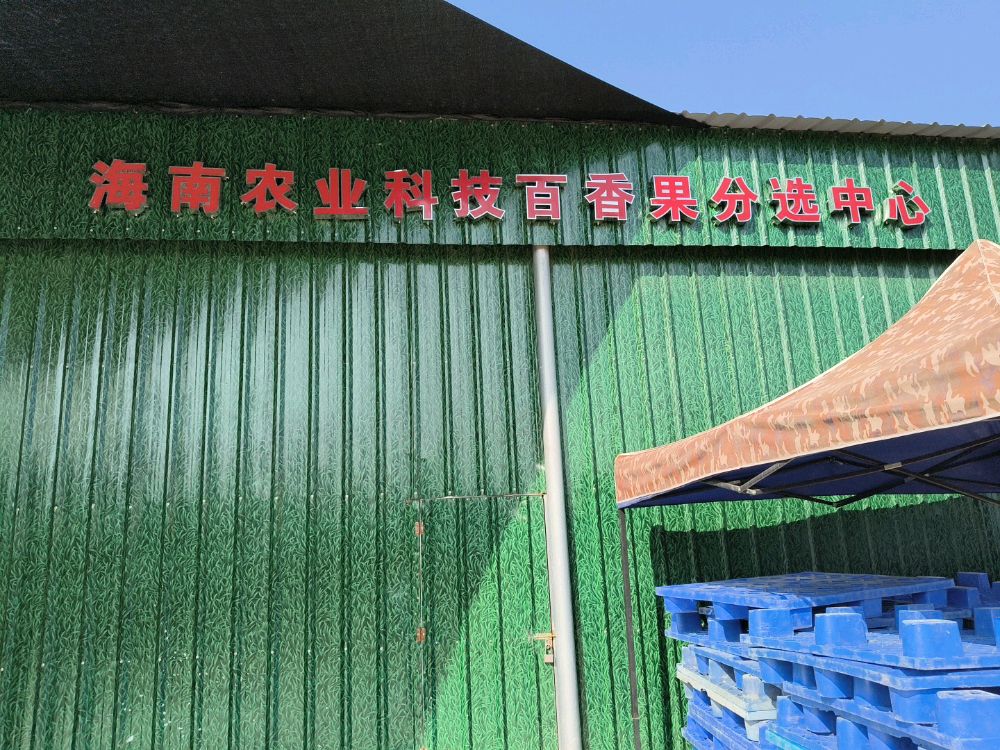 百香果分选中心