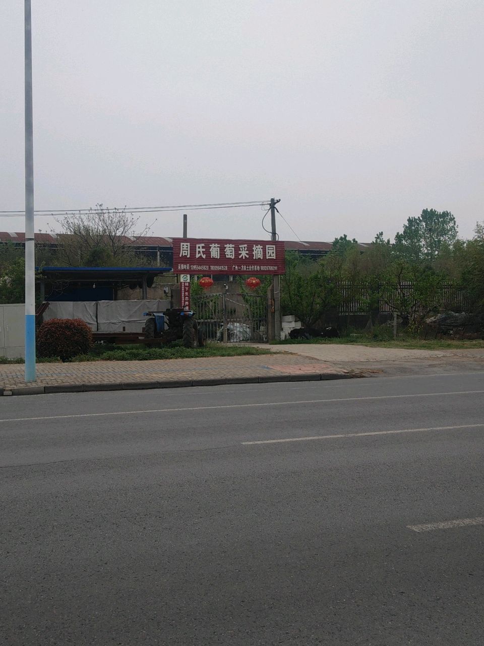 周氏葡萄采摘园
