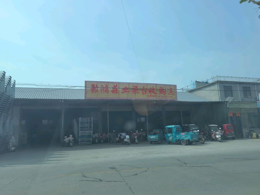 聚鸿蒜业梁台收购点