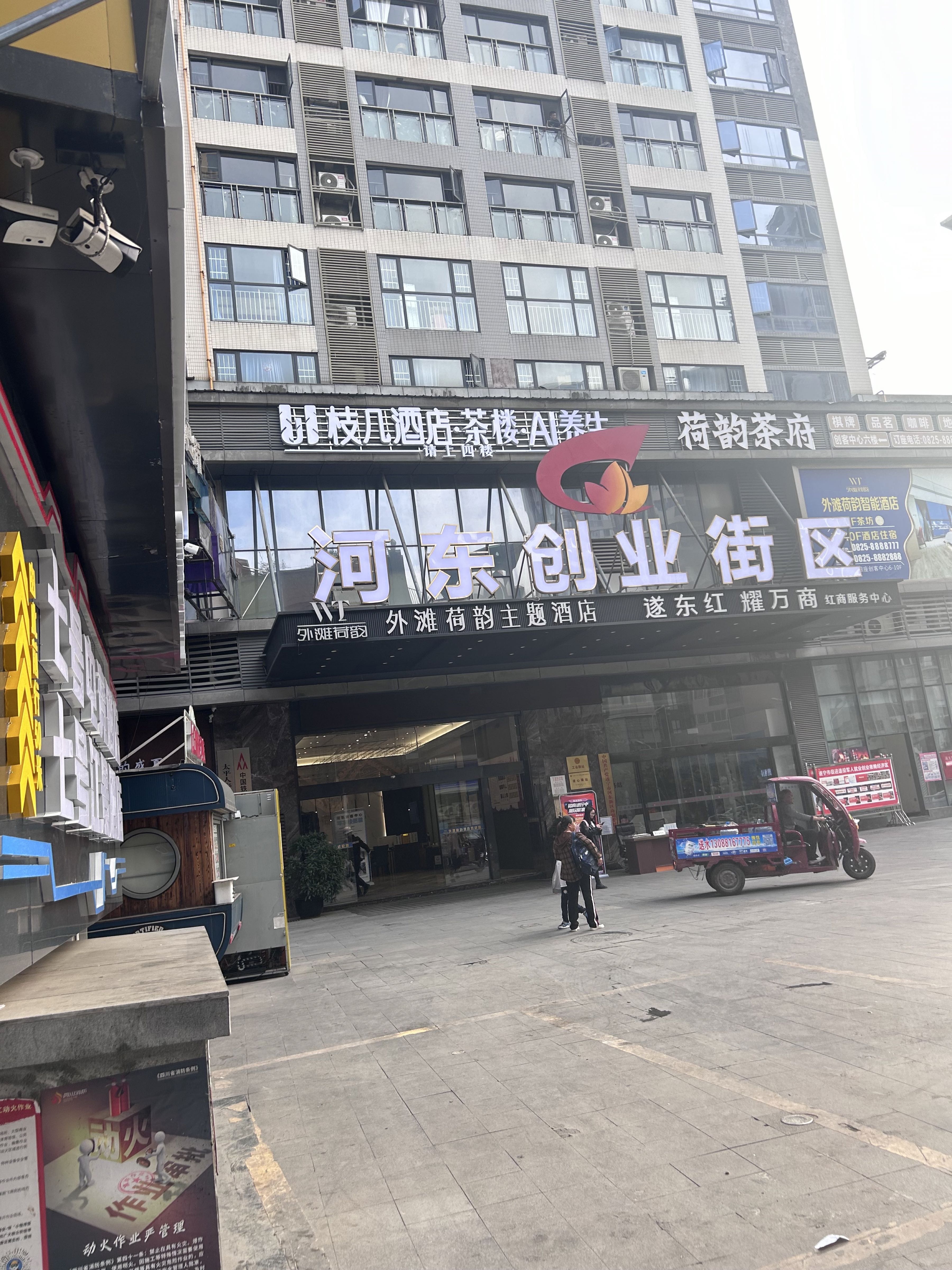 枝几AI养生