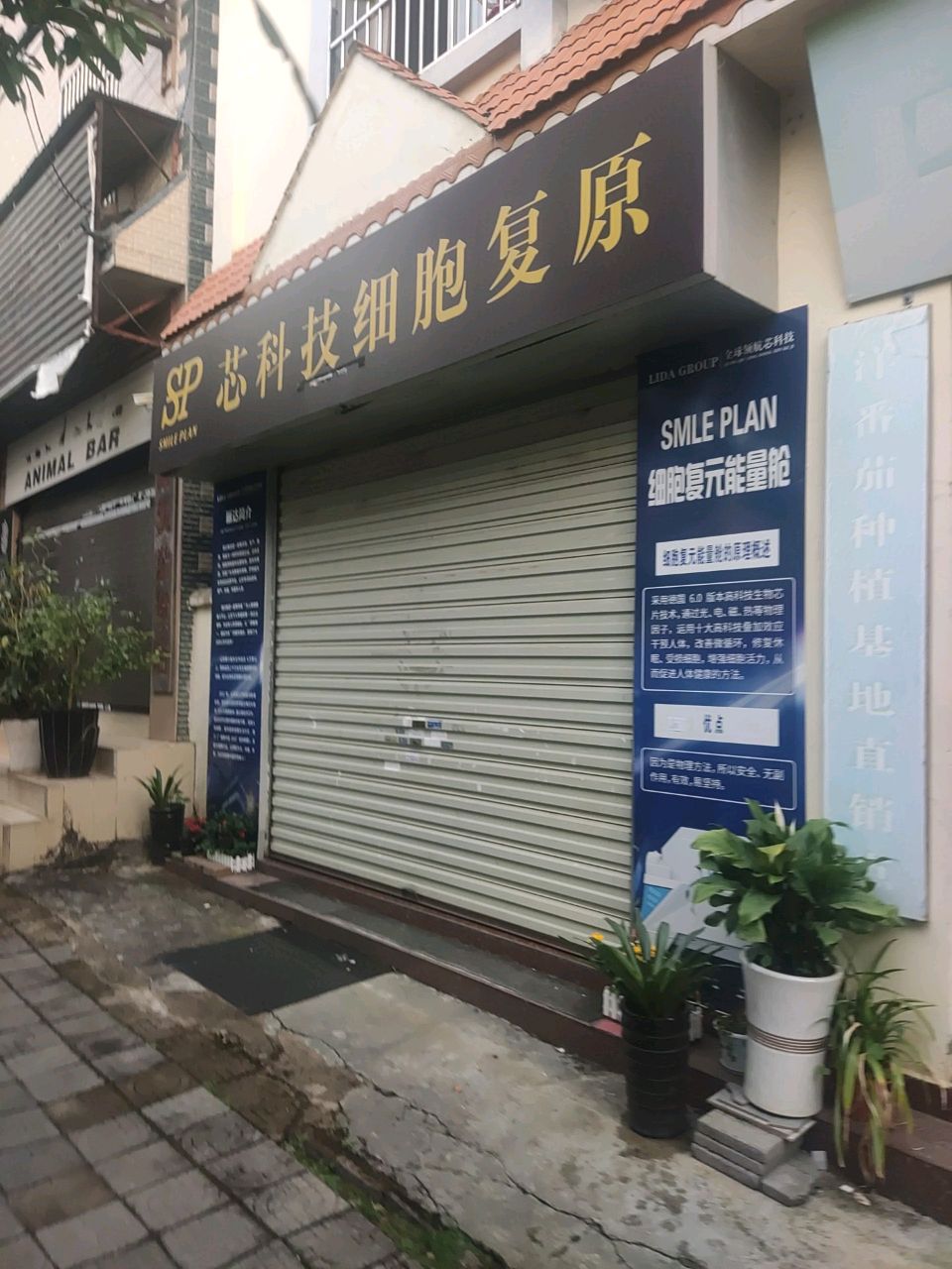 SP芯科技细胞复原